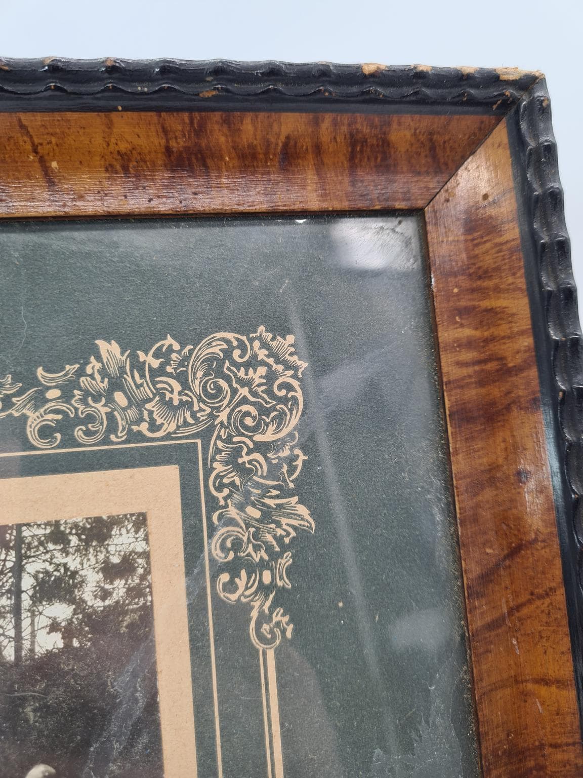 Zdjęcie grupowe, czarno-białe, drewno brąz, papier zielony, szkło, Niemcy, lata 20. - 208380