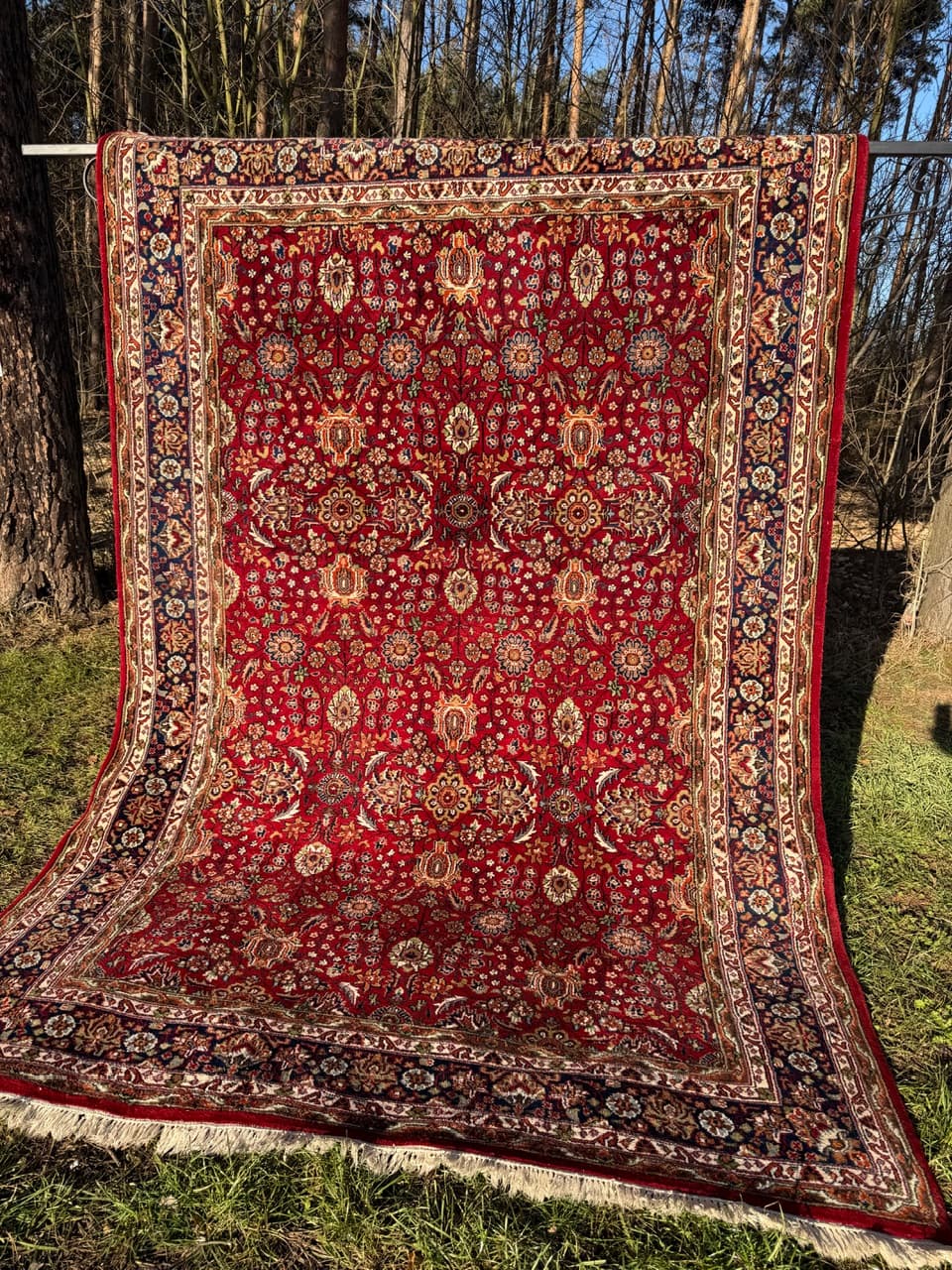 Rug Indo Ispahan, multicolor wool, India - 210674