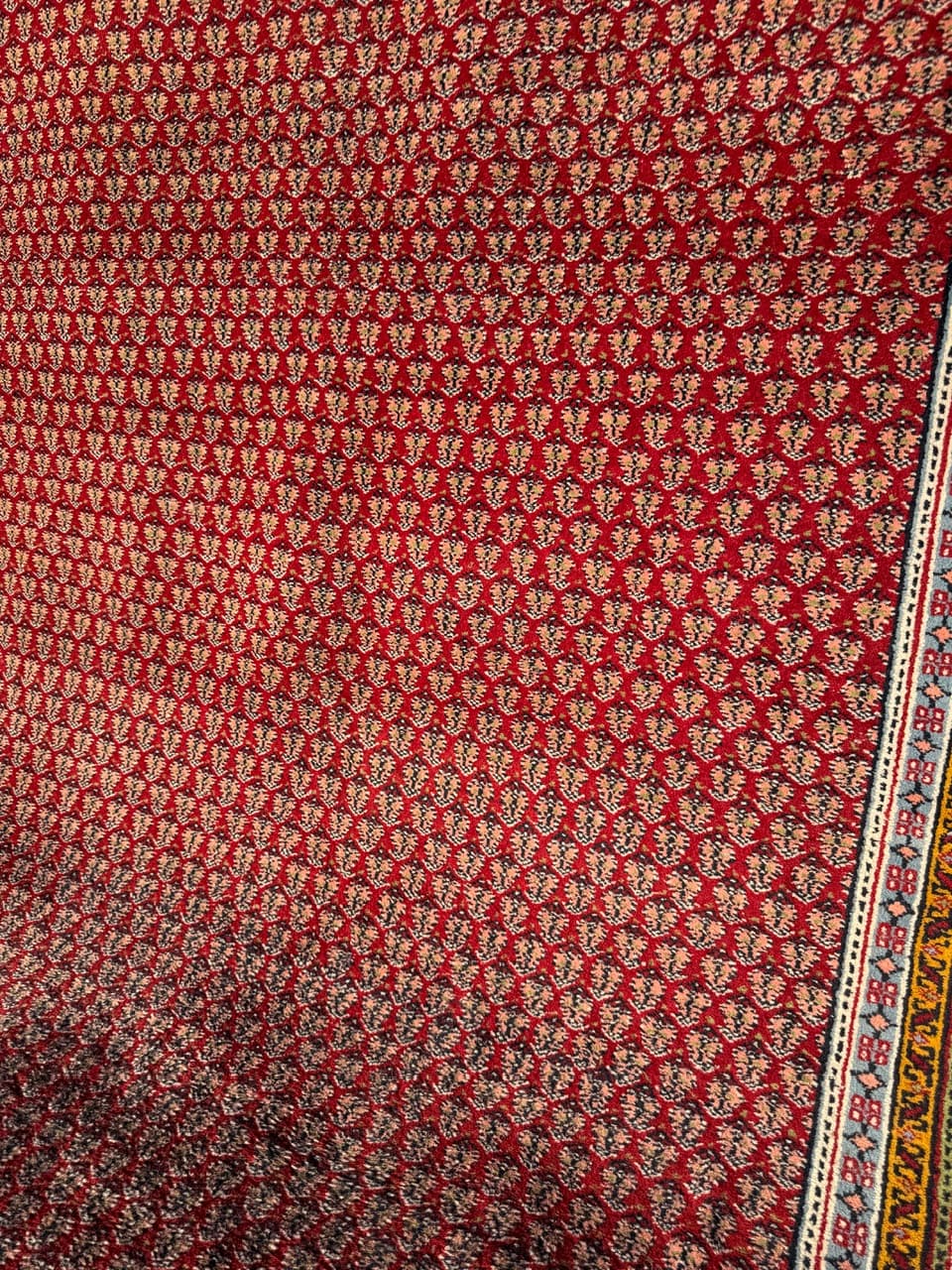 Dywan perski Indo Mir, czerwony, wełna, Indie - 213034