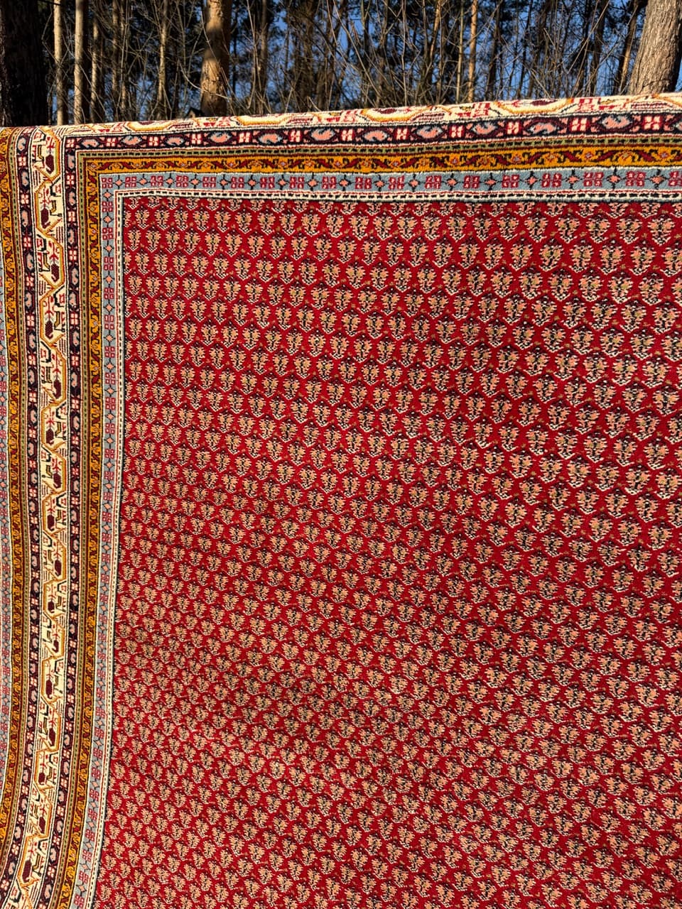 Dywan perski Indo Mir, czerwony, wełna, Indie - 213038