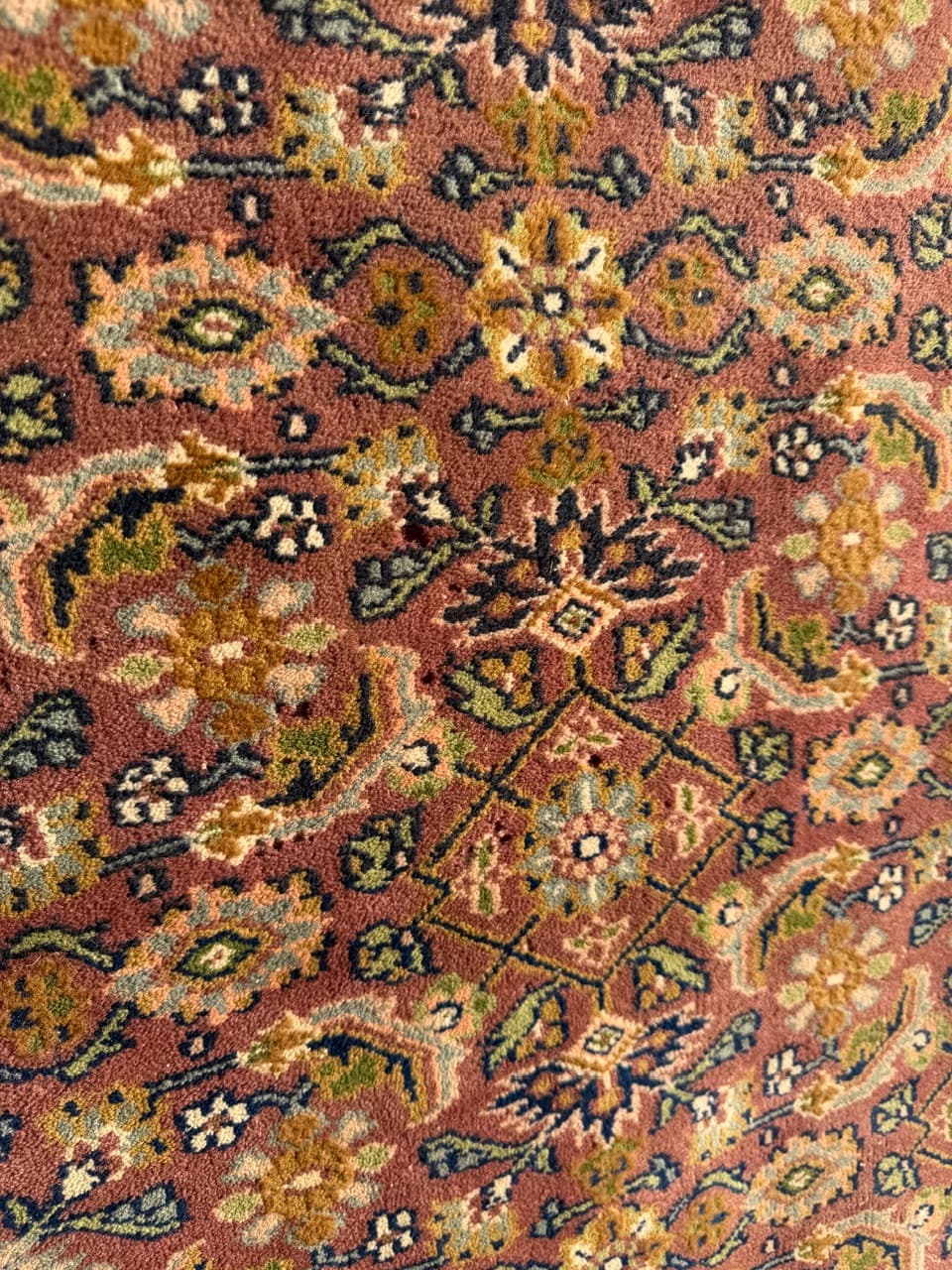 Dywan perski Indo Bidjar 230x230 cm, czerwony, wełna, Indie, lata 90. - 222115