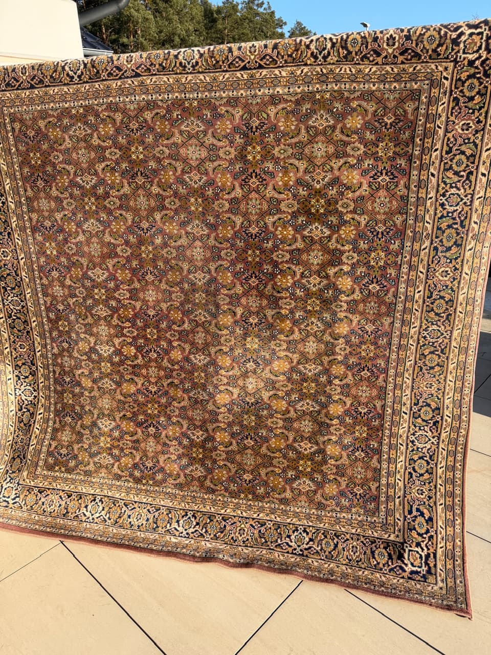 Dywan perski Indo Bidjar 230x230 cm, czerwony, wełna, Indie, lata 90. - 222120