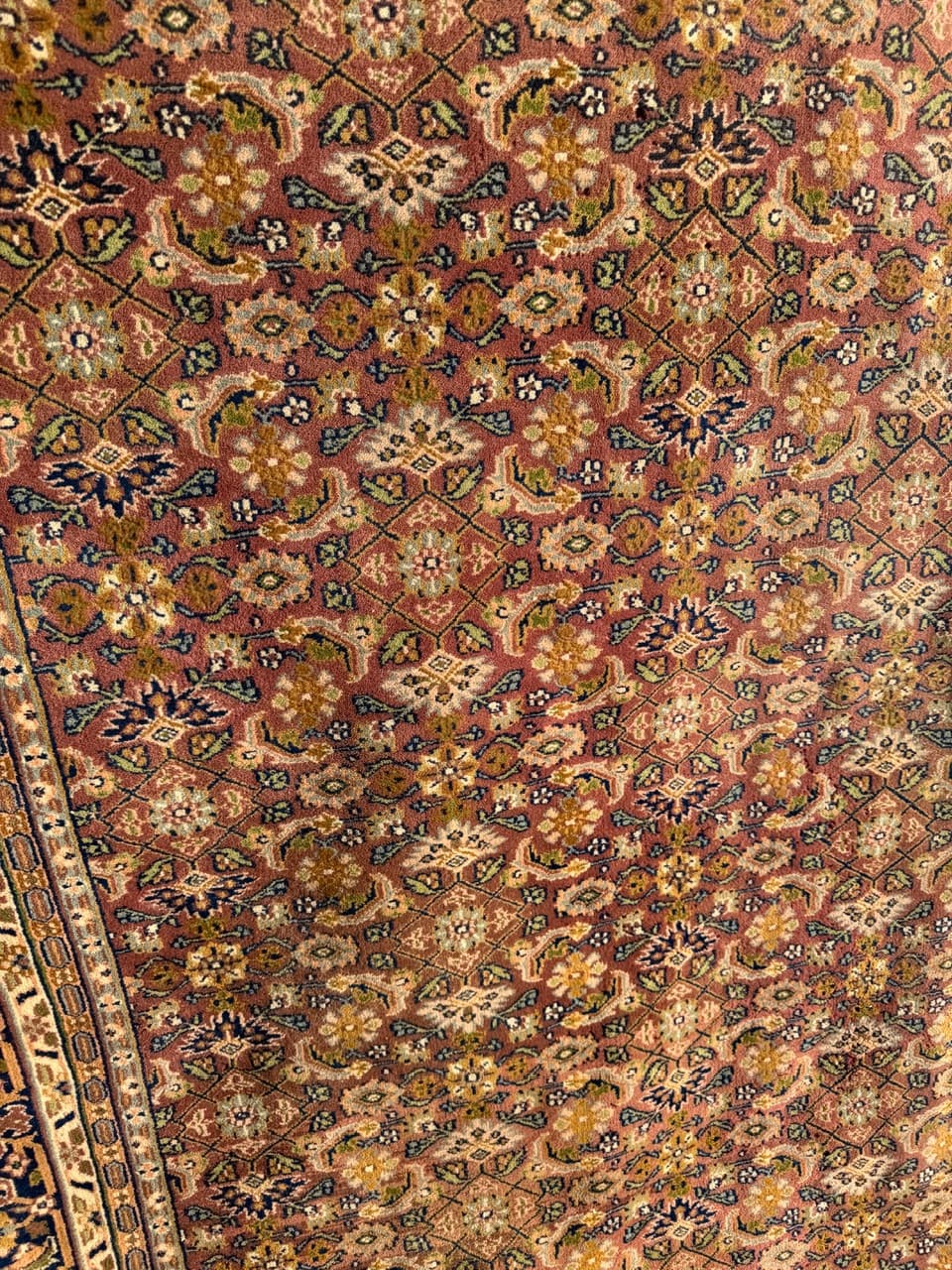 Dywan perski Indo Bidjar 230x230 cm, czerwony, wełna, Indie, lata 90. - 222114