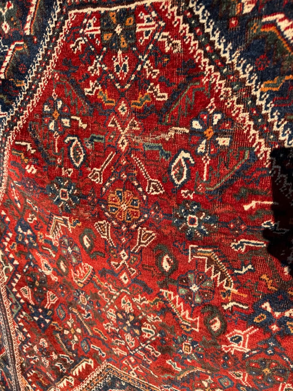 Dywan perski Shiraz 250x160 cm, multikolor, wełna, Iran, lata 50. - 222583