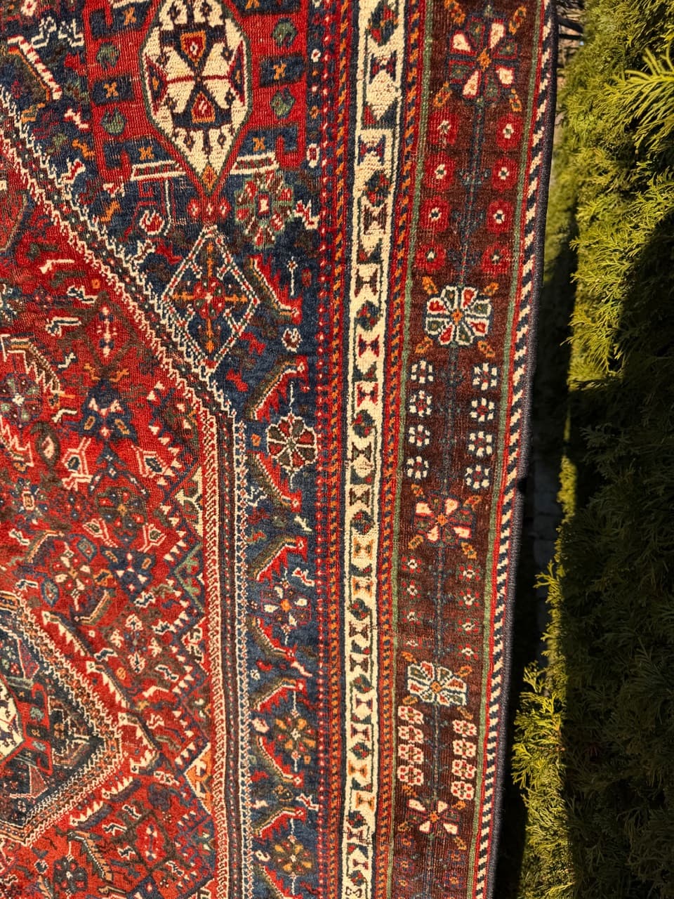 Dywan perski Shiraz 250x160 cm, multikolor, wełna, Iran, lata 50. - 222582