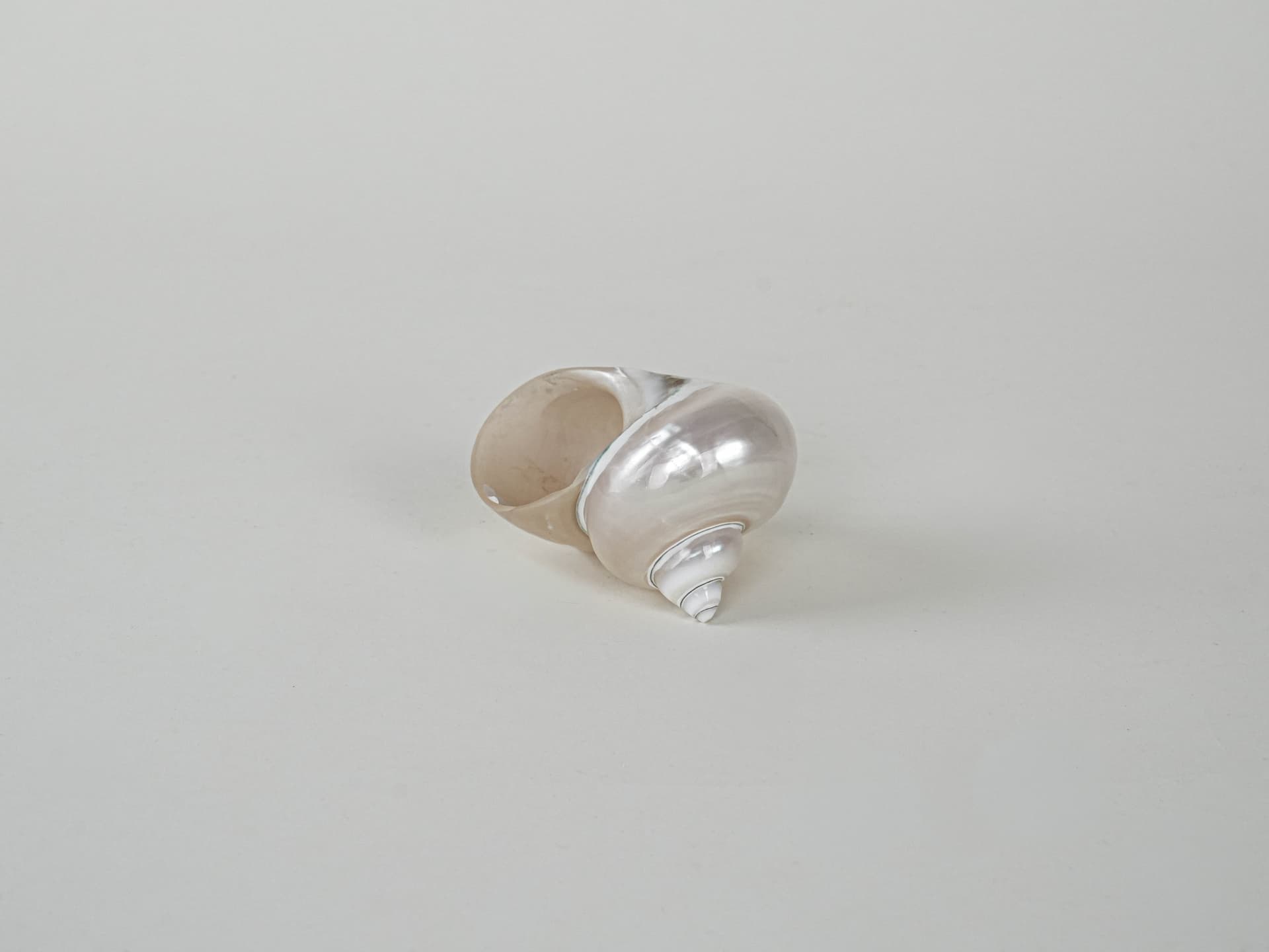 Muszla dekoracyjna, perłowa biel, Włochy, lata 70. - 222763