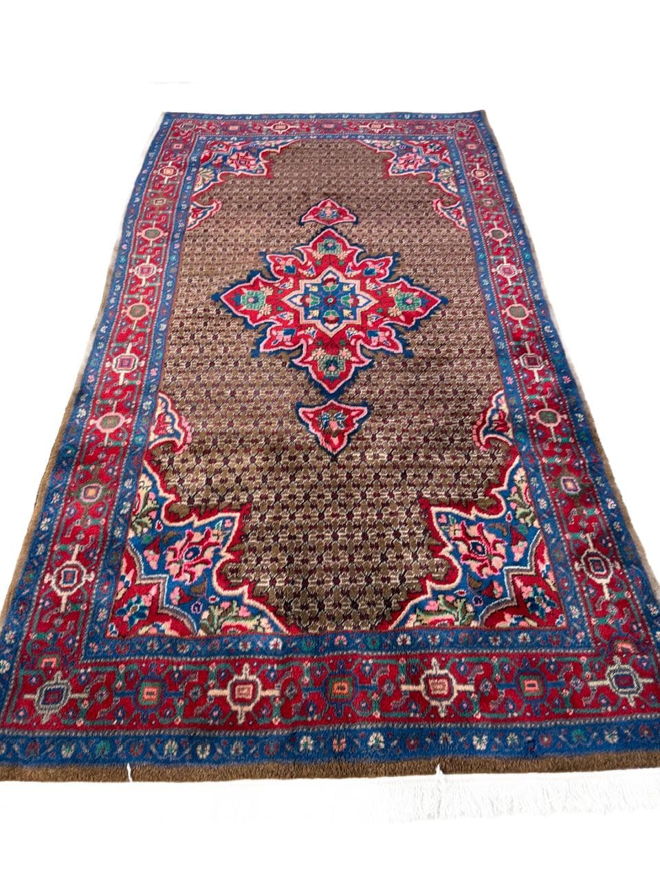 Rug Hamadan 290x150 cm, multicolor wool, Iran
