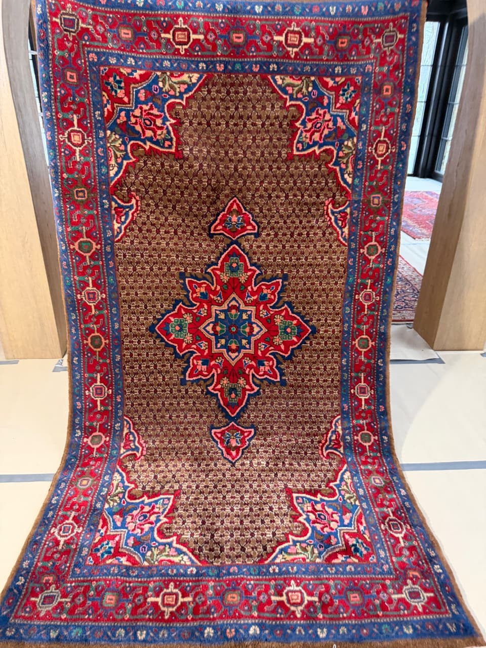 Rug Hamadan 290x150 cm, multicolor wool, Iran - 222809