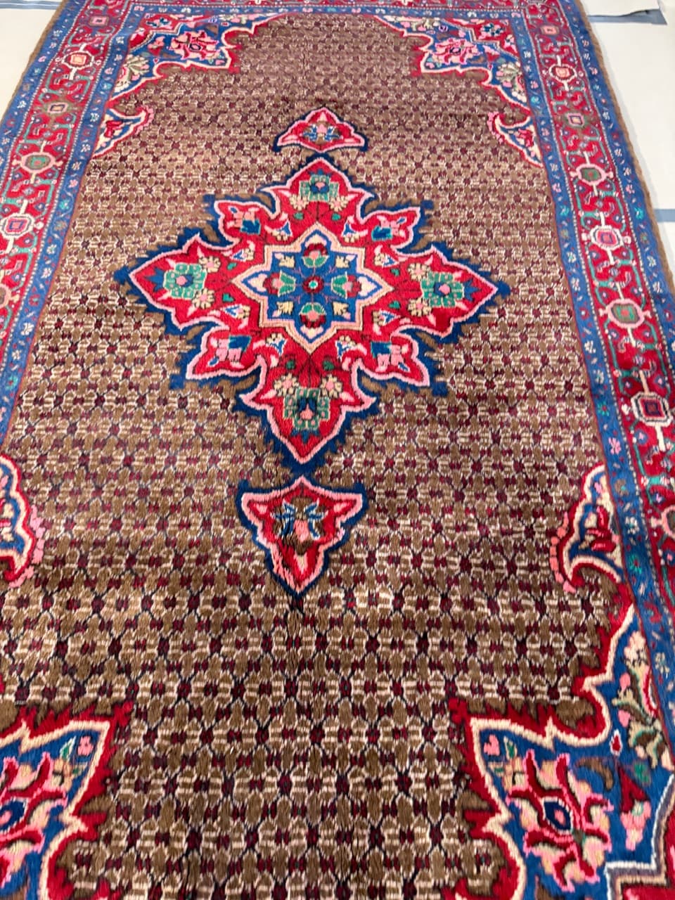 Rug Hamadan 290x150 cm, multicolor wool, Iran - 222811