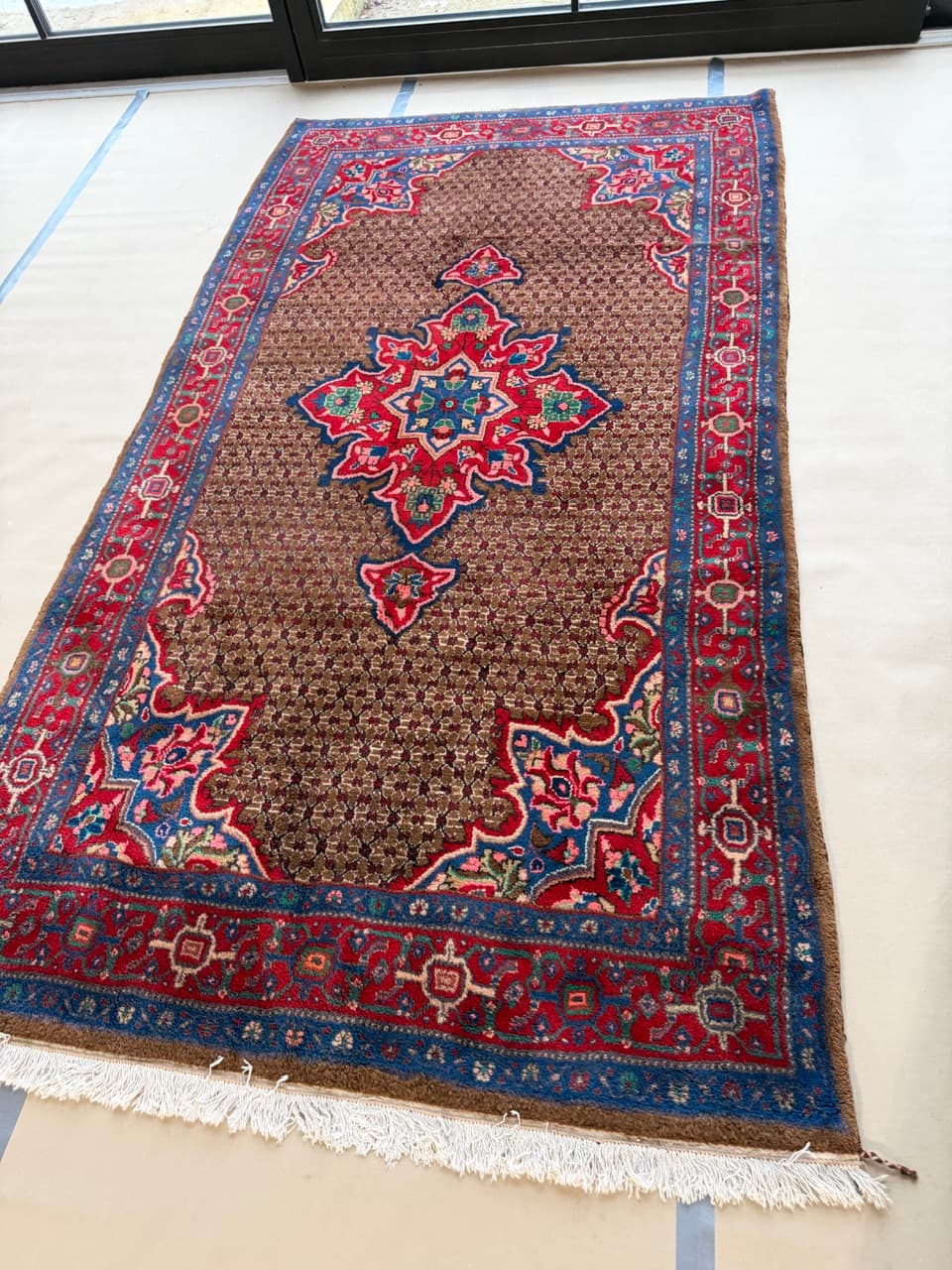 Rug Hamadan 290x150 cm, multicolor wool, Iran - 222803
