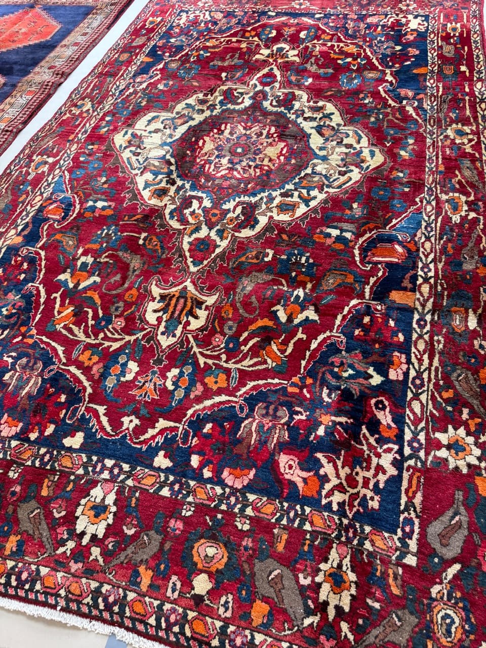 Rug Bahtiari, 300x200 cm, multicolor wool, Iran - 224243