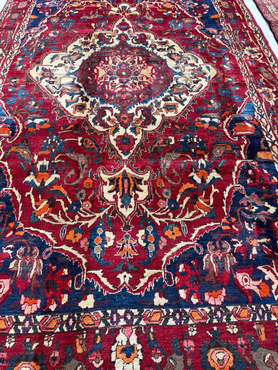 Rug Bahtiari, 300x200 cm, multicolor wool, Iran - 224253