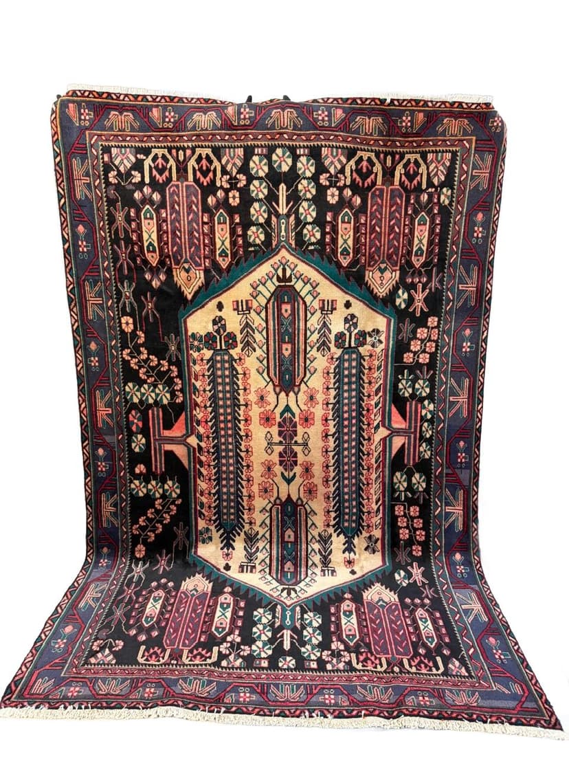 Dywan perski Hamadan 290x190 cm, multikolor, wełna, Iran