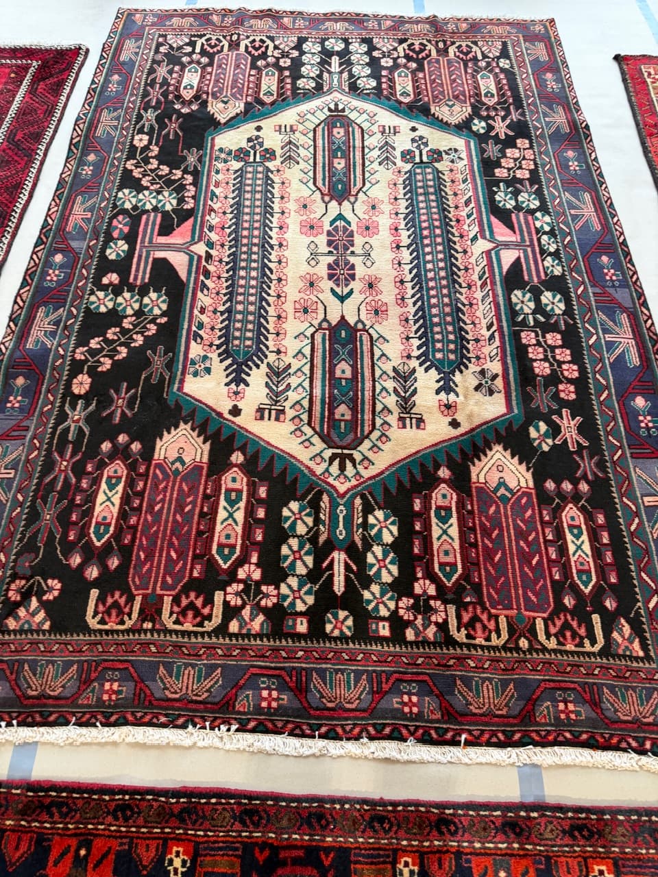 Dywan perski Hamadan 290x190 cm, multikolor, wełna, Iran - 225294