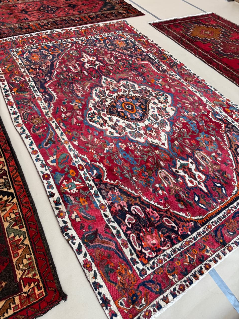 Rug Bahtiari 330x210 cm, multicolor wool, Iran - 225566