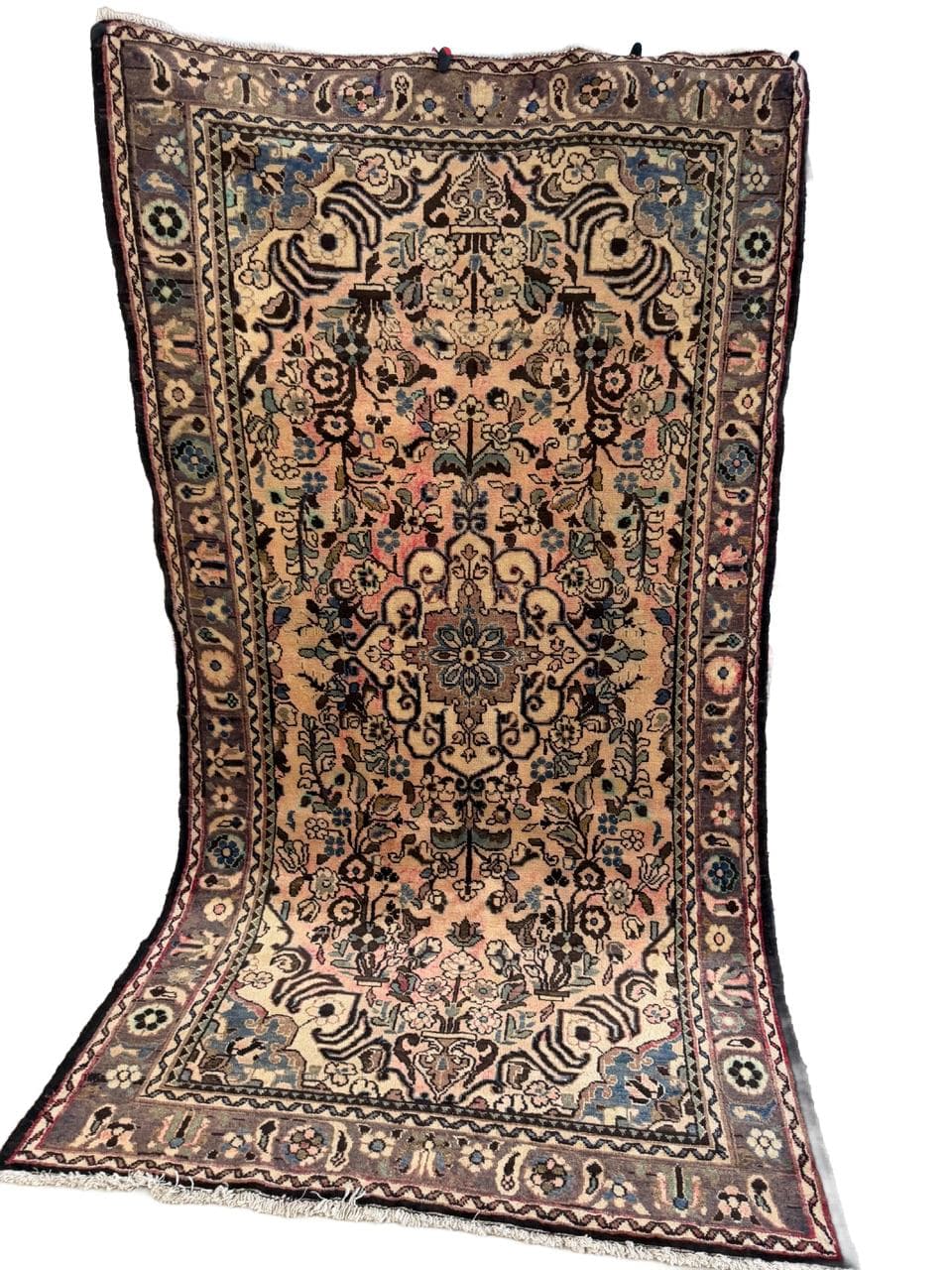 Rug Hamadan 290x155 cm, beige, wool, Iran