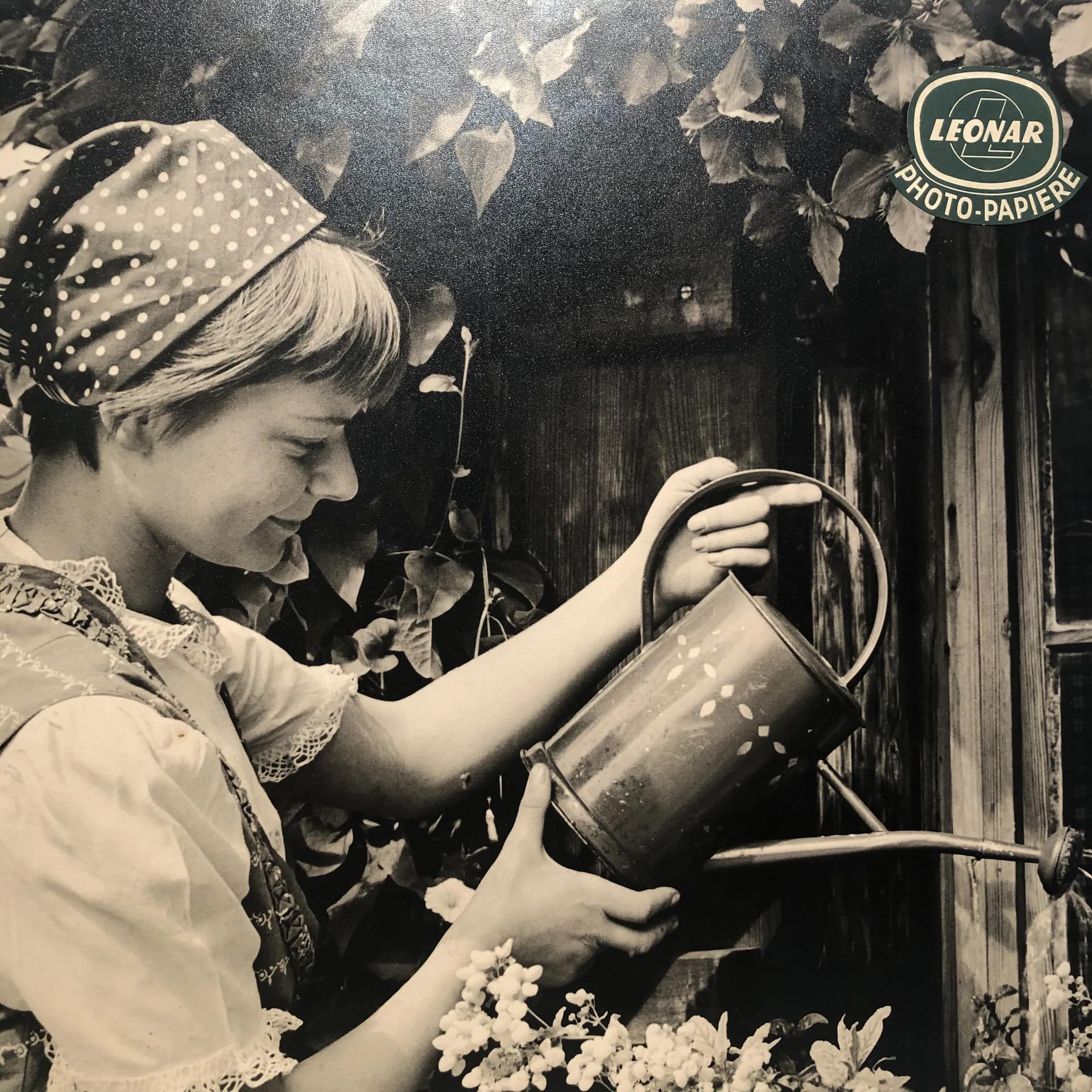 Reklama ścienna Leonar Photo Papiere, szary, drewno, Niemcy, lata 60. - 16709