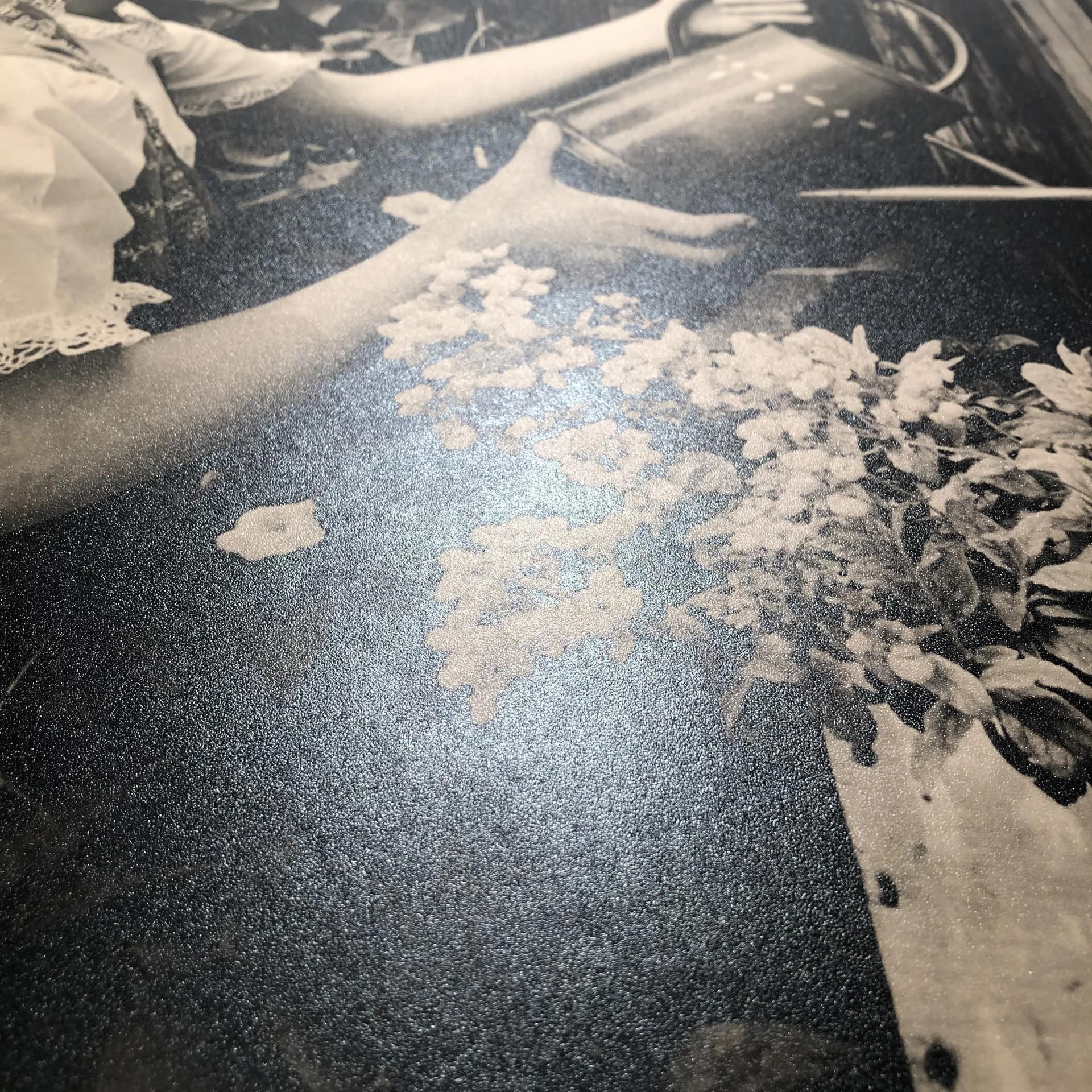 Reklama ścienna Leonar Photo Papiere, szary, drewno, Niemcy, lata 60. - 16710