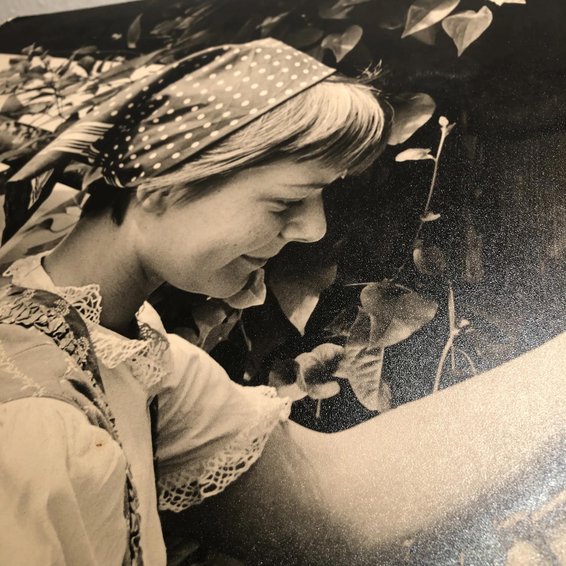 Reklama ścienna Leonar Photo Papiere, szary, drewno, Niemcy, lata 60. - 16708