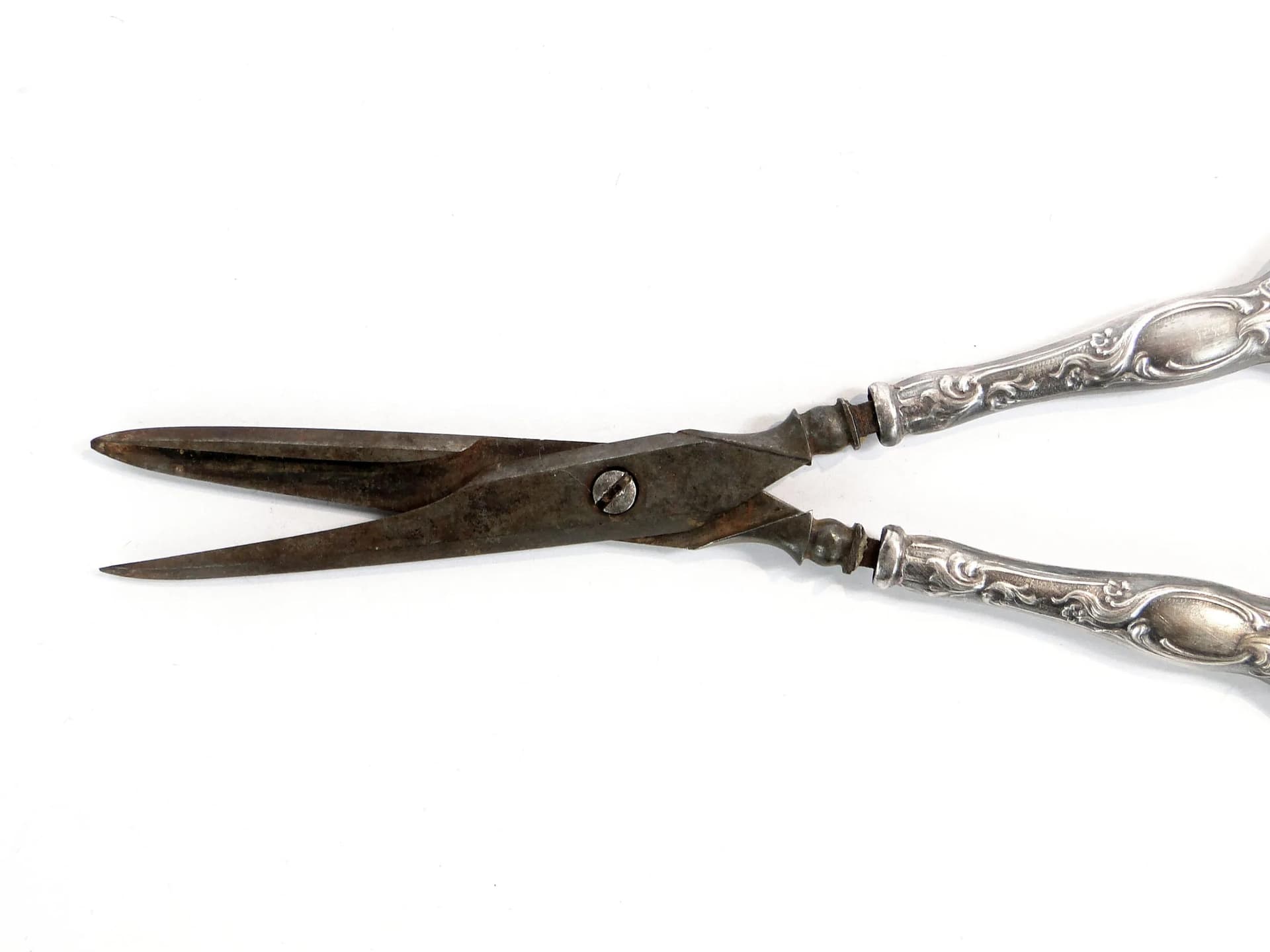 Table Scissors Art Nouveau, silver, steel, France, 19th c. - 17781