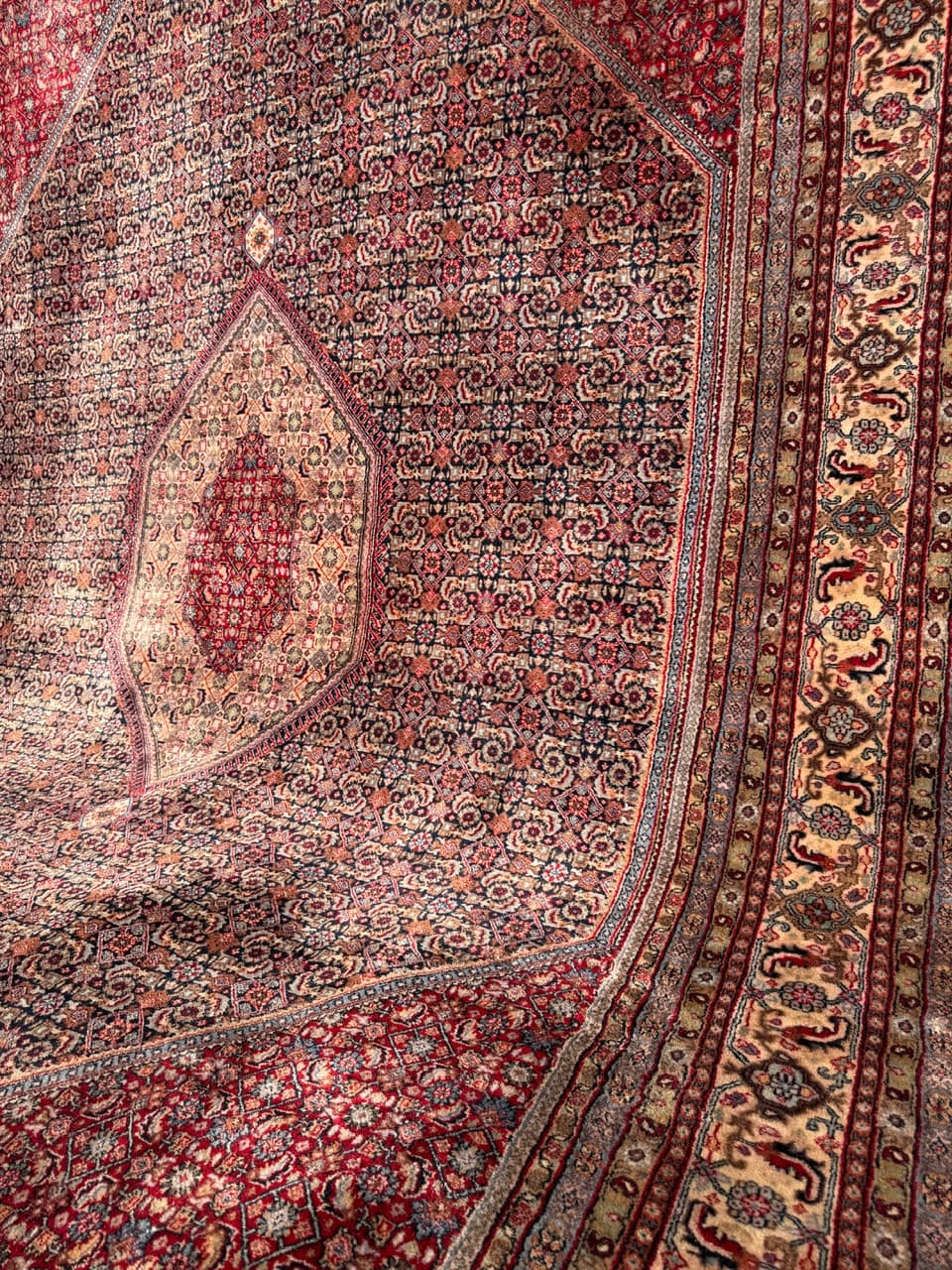 Dywan Indo Bidjar 420x300 cm, czerwony, wełna, Indie - 252399