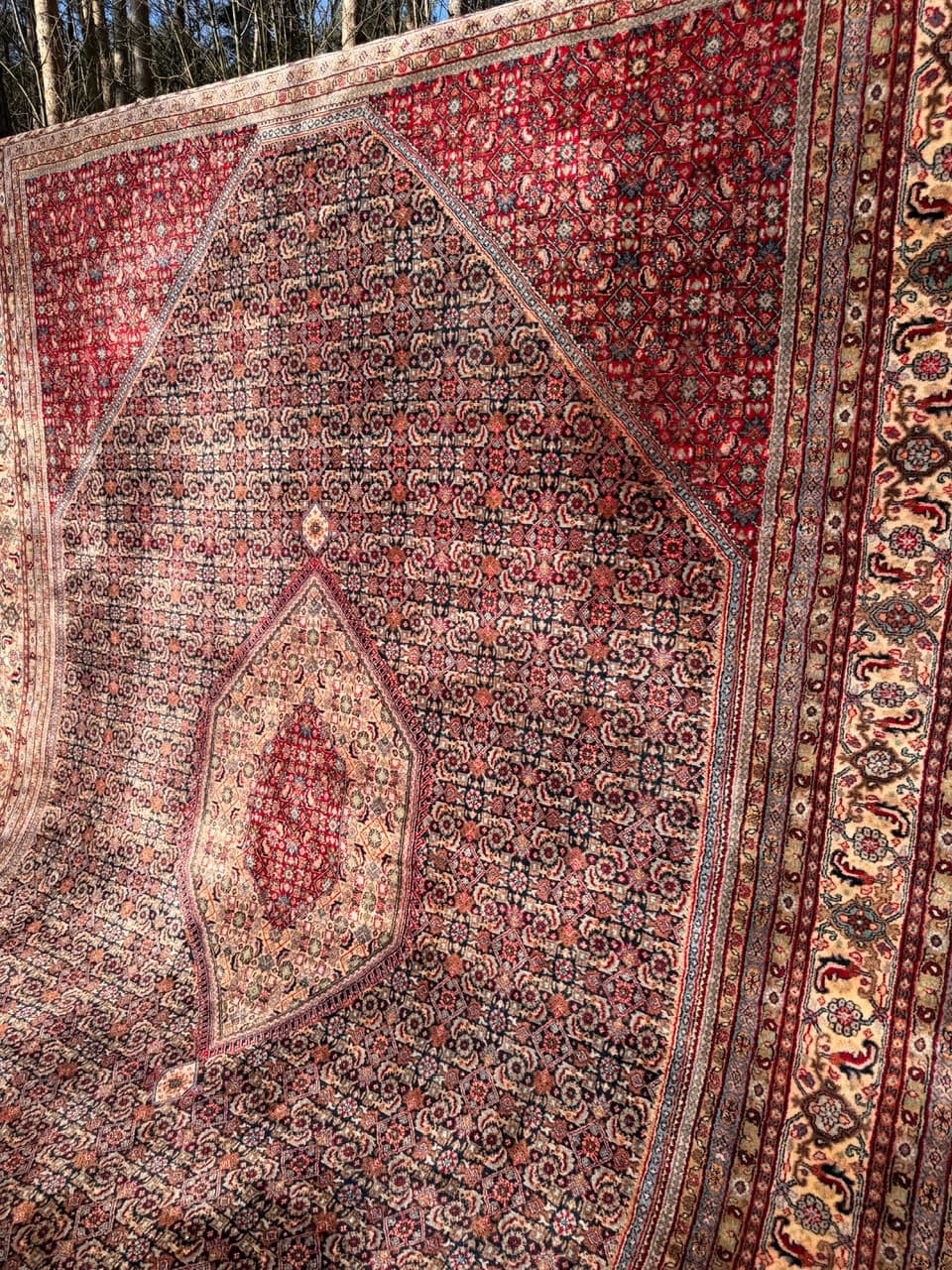 Dywan Indo Bidjar 420x300 cm, czerwony, wełna, Indie - 252403