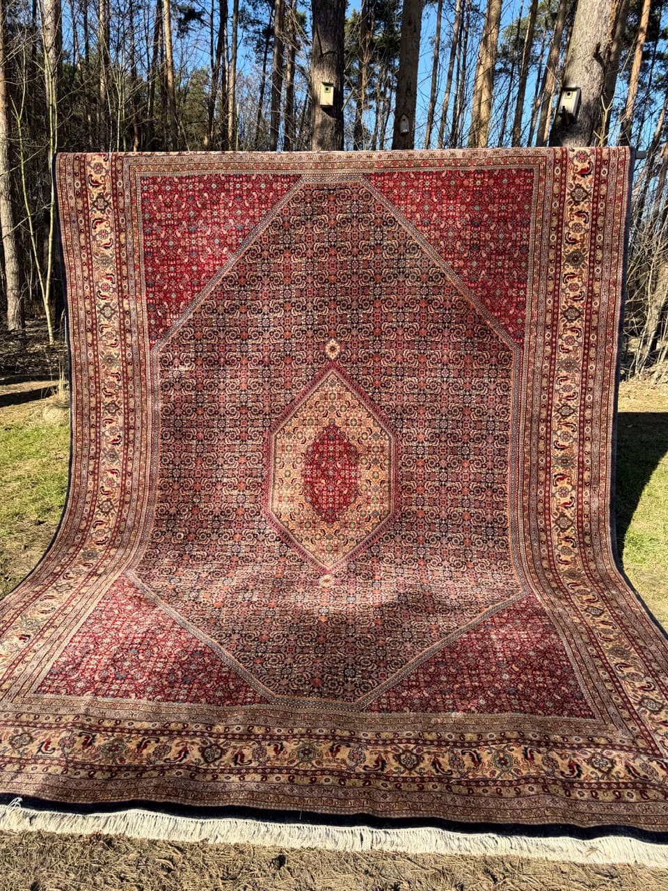 Dywan Indo Bidjar 420x300 cm, czerwony, wełna, Indie - 252396