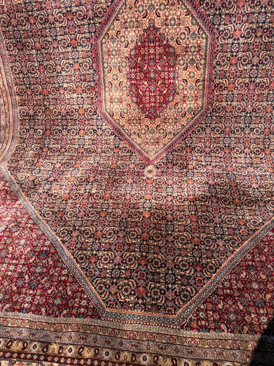 Dywan Indo Bidjar 420x300 cm, czerwony, wełna, Indie - 252404