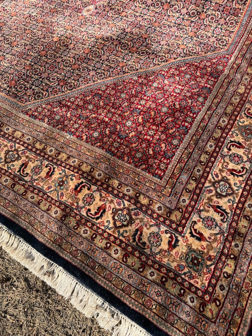 Dywan Indo Bidjar 420x300 cm, czerwony, wełna, Indie - 252406