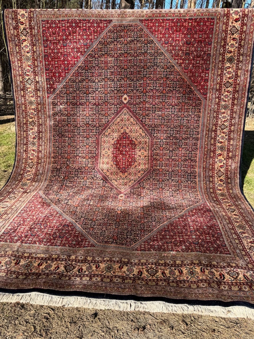 Dywan Indo Bidjar 420x300 cm, czerwony, wełna, Indie - 252397