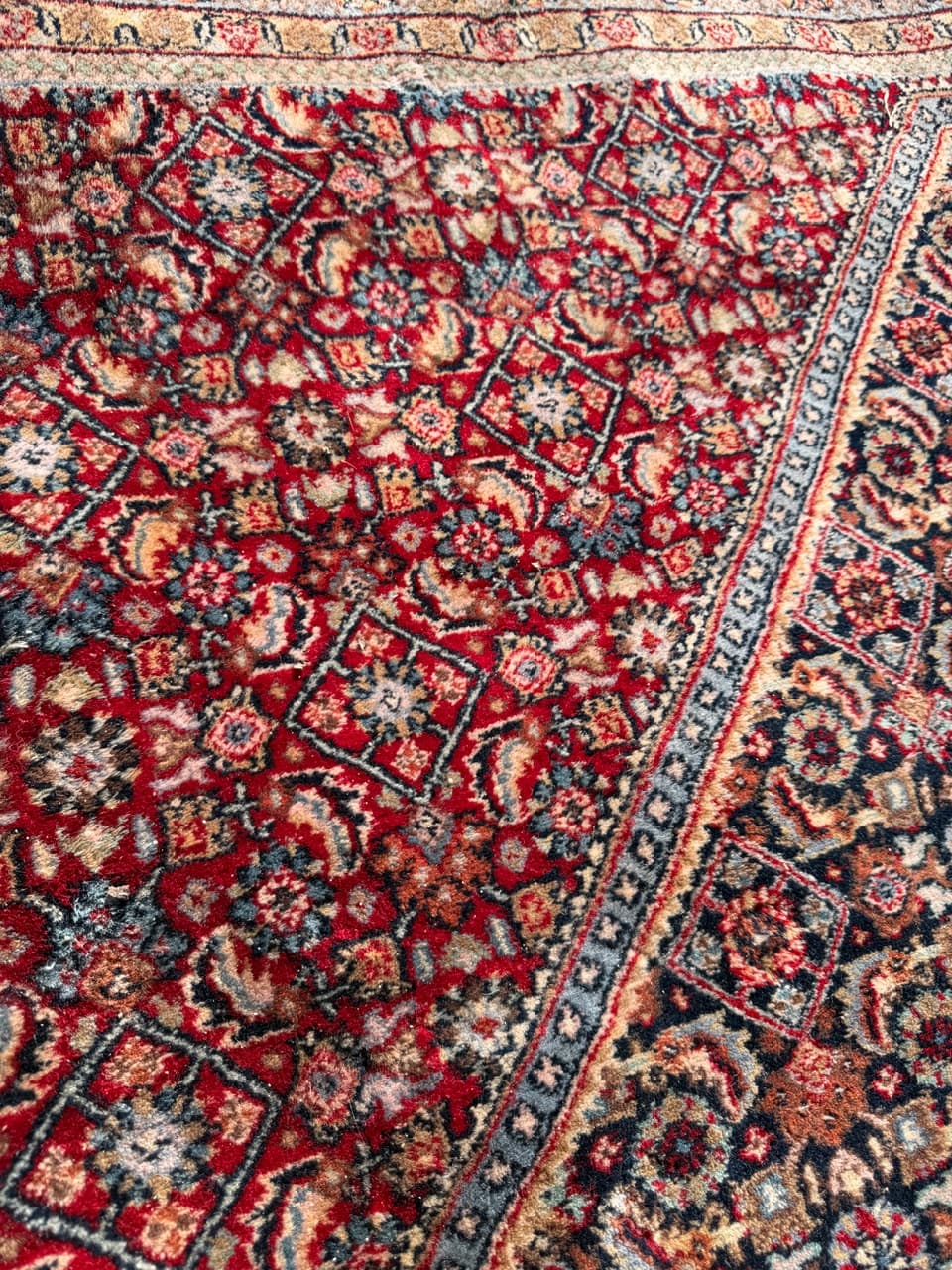 Dywan Indo Bidjar 420x300 cm, czerwony, wełna, Indie - 252407