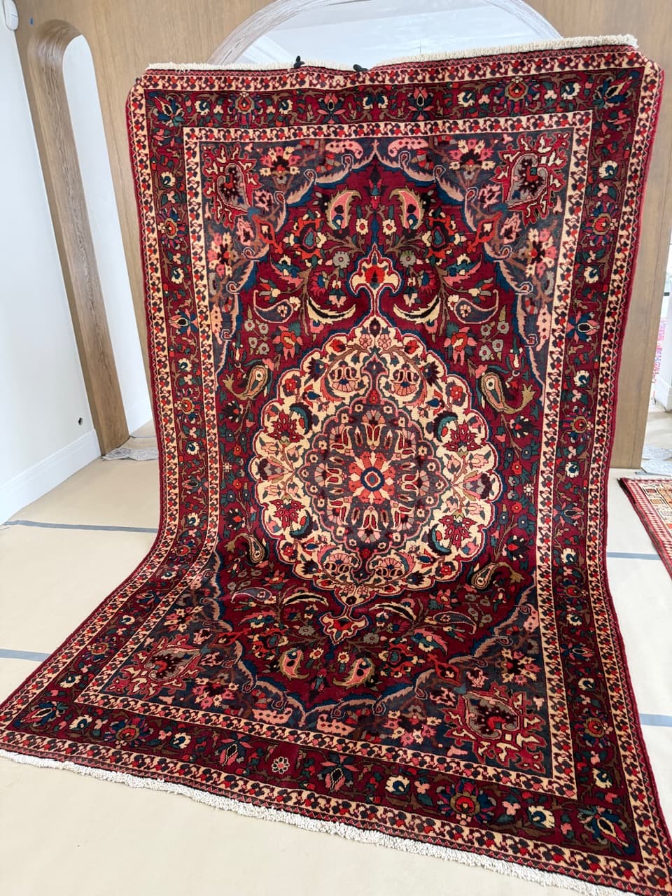 Persian Rug Bahtiari Hamadan, multicolor wool, Iran - 253363