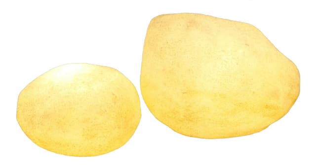 Set of floor lamps Moonstone, yellow fiberglass, Leola, Germany, 1970s. - DIMENSION