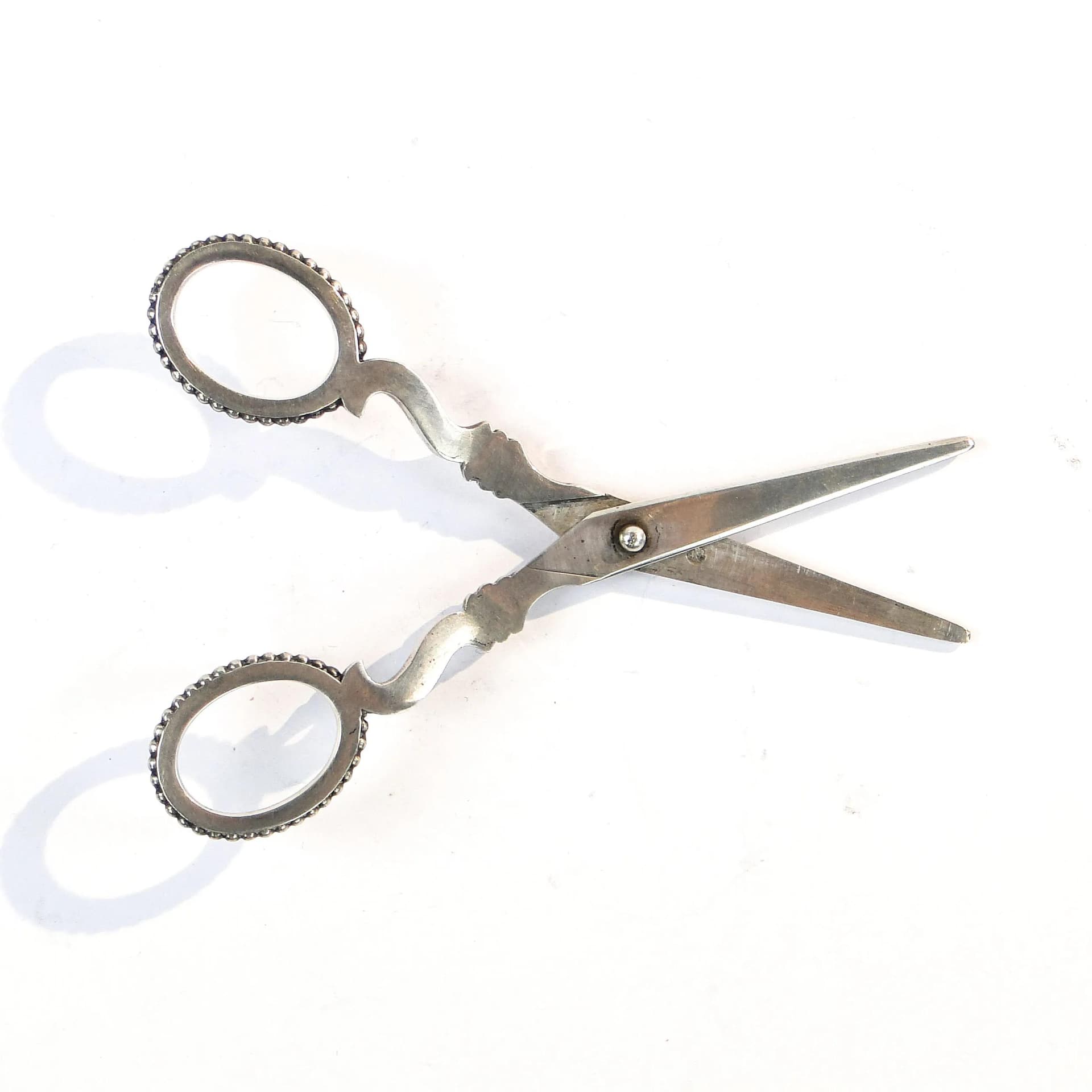 Table Scissors, Silver, Netherlands, 19th c. - 19628