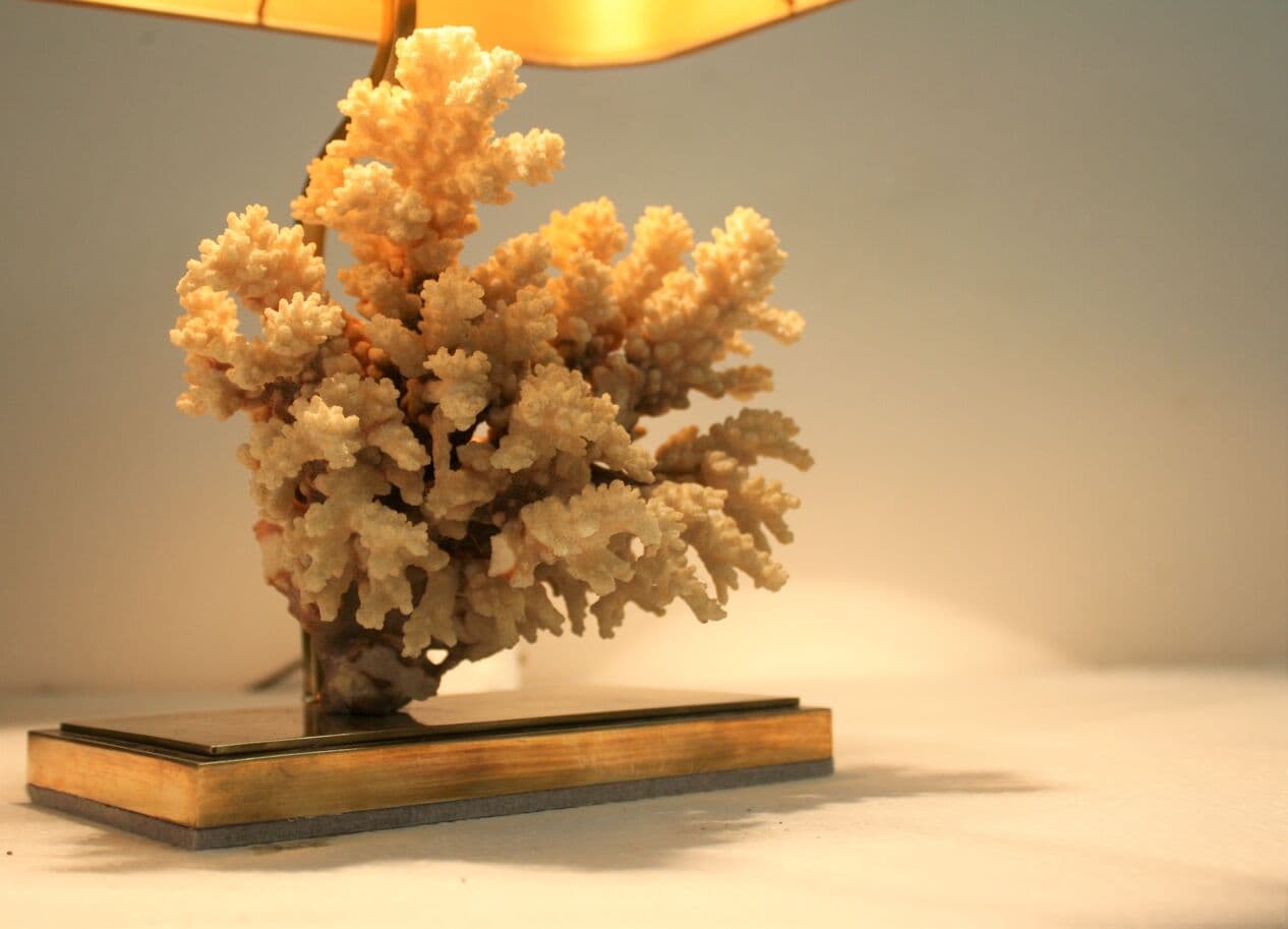 Lampa stołowa, koral, mosiądz złoty, Francja, lata 70. - 265410