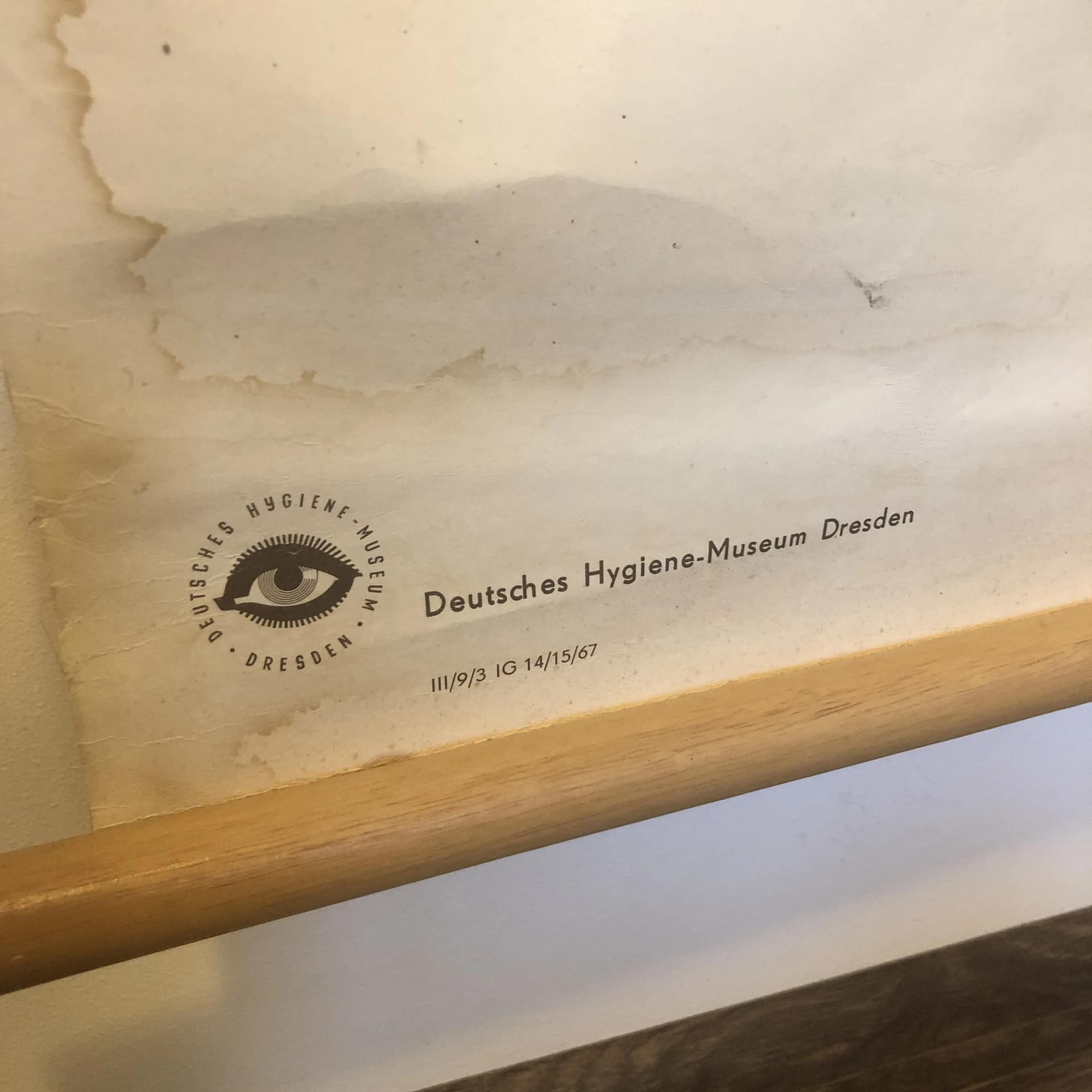 Kolorowa tablica edukacyjna układ mięśniowy, Niemcy, lata 70. - 20243