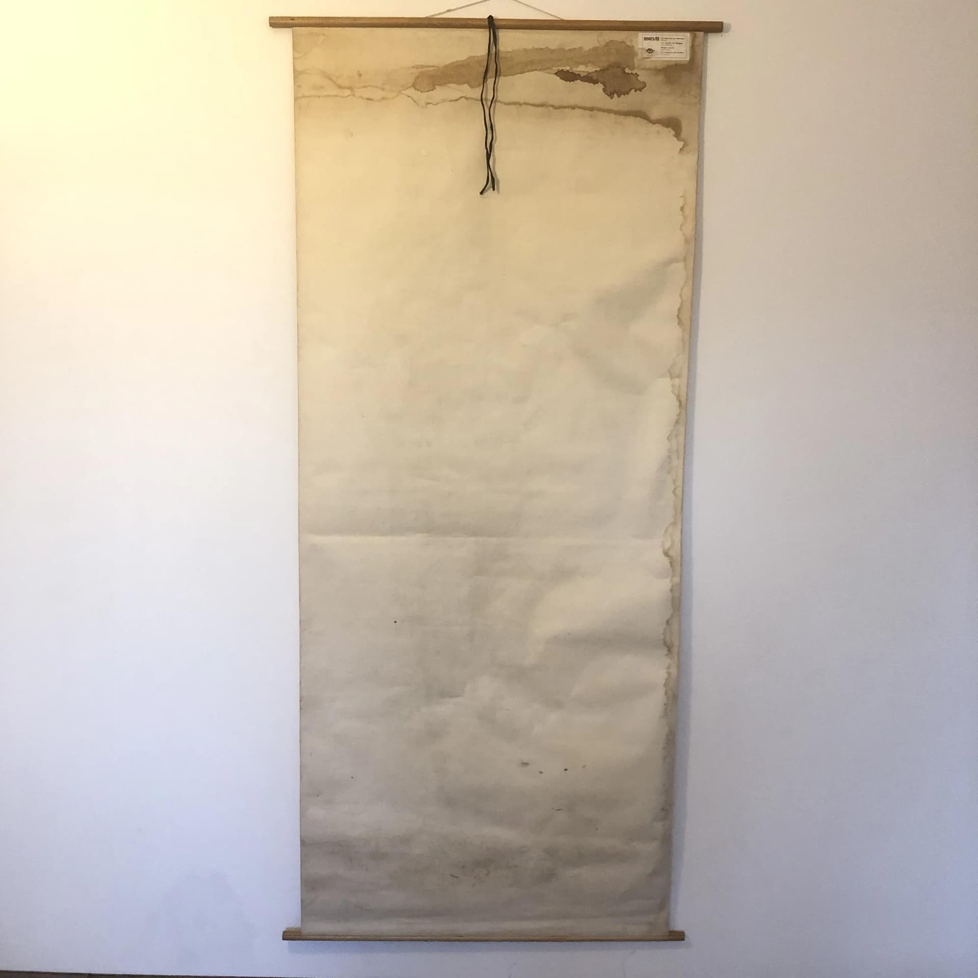 Kolorowa tablica edukacyjna układ mięśniowy, Niemcy, lata 70. - 20244