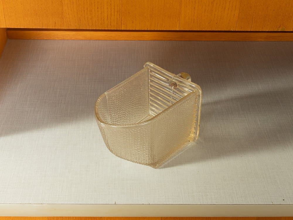 Kredens kuchenny, jesion brązowy, szkło, Niemcy, lata 50. - 281269