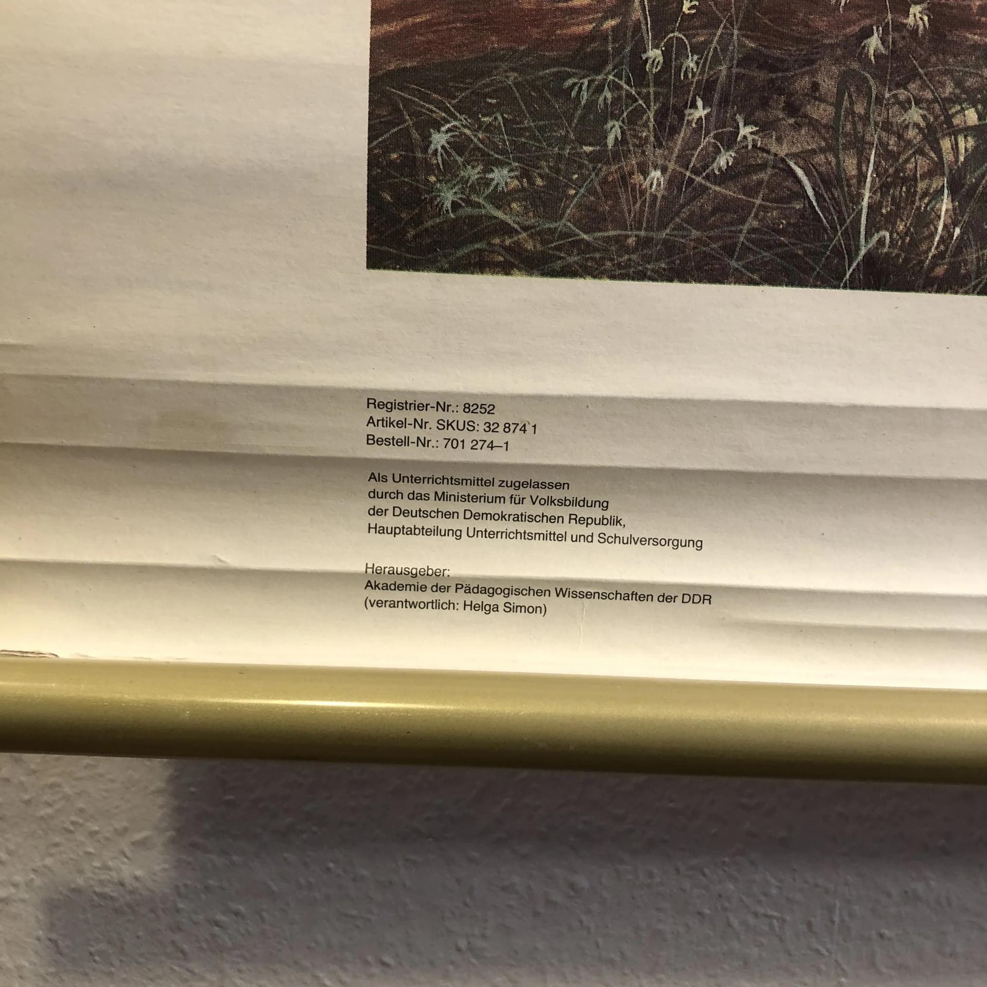 Tablica edukacyjna, Człowiek pierwotny, multicolor, papier, proj. K.-H. Wieland, Niemcy, lata 80. - 20748