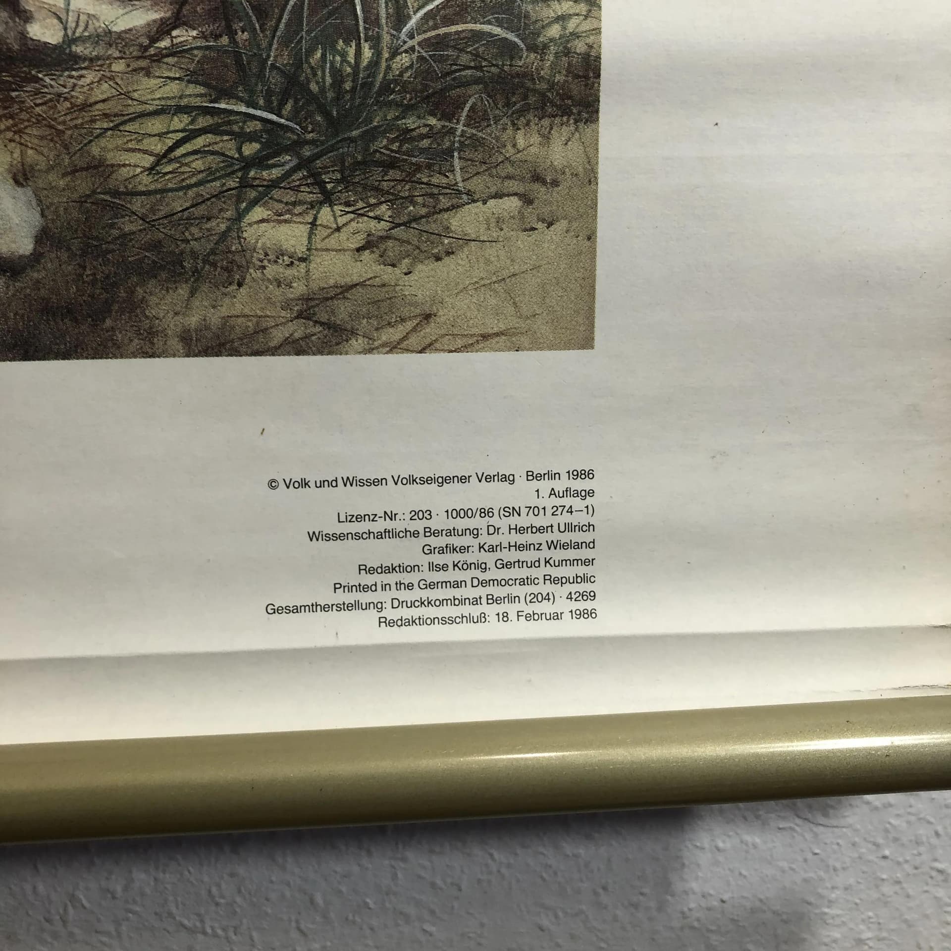 Tablica edukacyjna, Człowiek pierwotny, multicolor, papier, proj. K.-H. Wieland, Niemcy, lata 80. - 20750