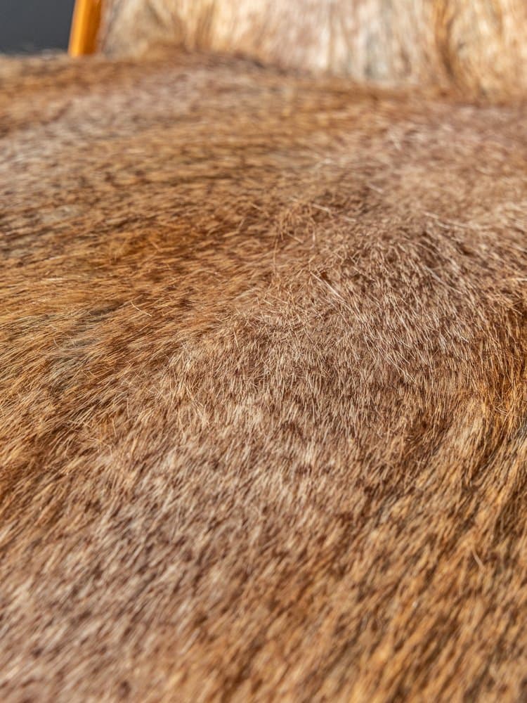 Fotel wypoczynkowy, buk brązowy, tkanina futrzana multikolor, Niemcy, lata 50. - 284531