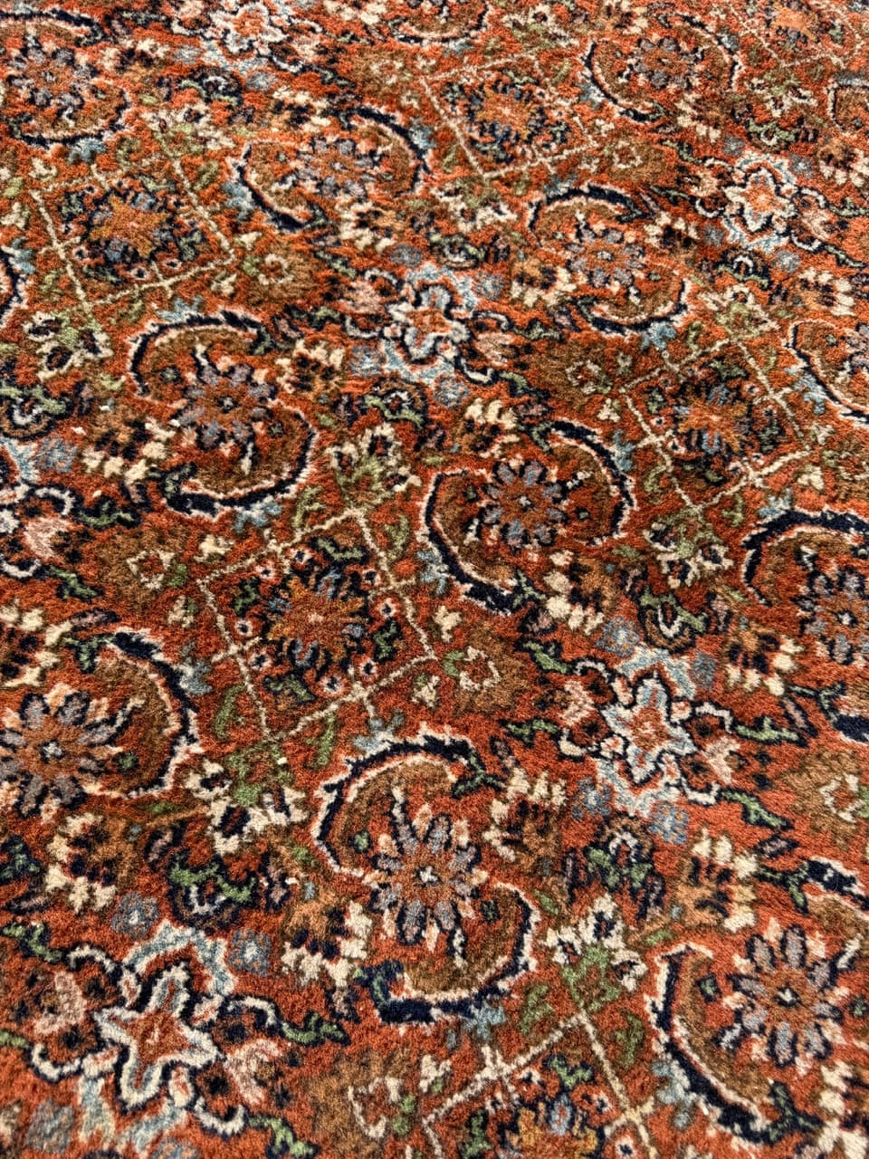 Dywan Indo Bidjar, 290x195 cm, multikolor, wełna, Indie - 288218