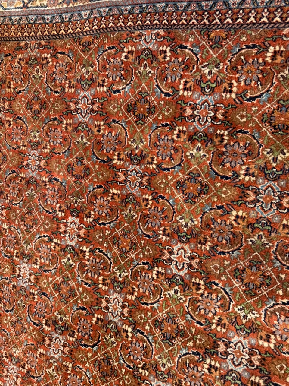 Dywan Indo Bidjar, 290x195 cm, multikolor, wełna, Indie - 288210