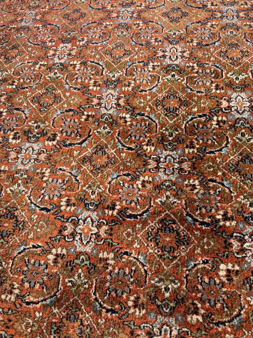 Dywan Indo Bidjar, 290x195 cm, multikolor, wełna, Indie - 288221