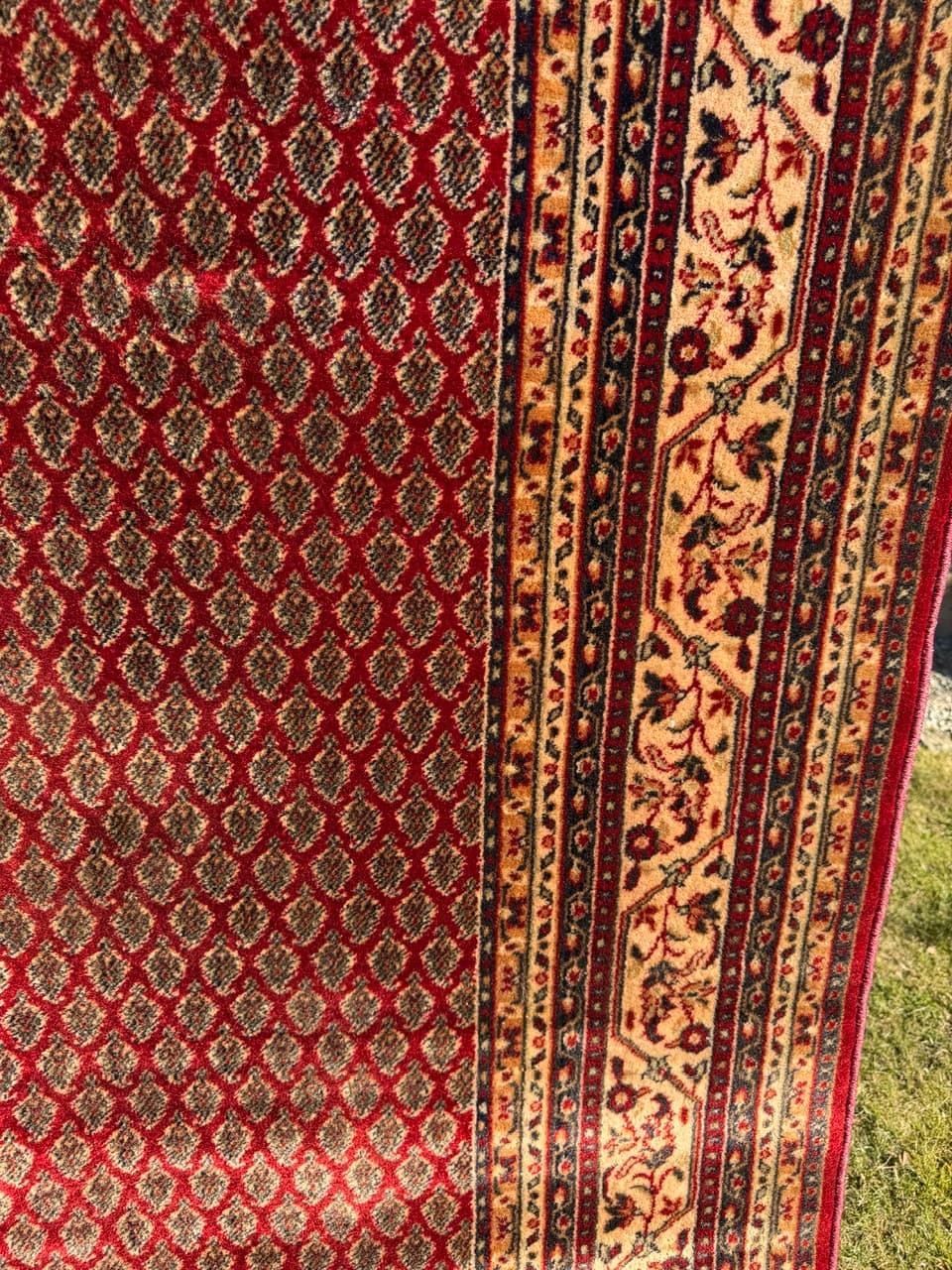 Dywan Kaszmir, multikolor, wełna, Niemcy, 250x200 cm - 288247