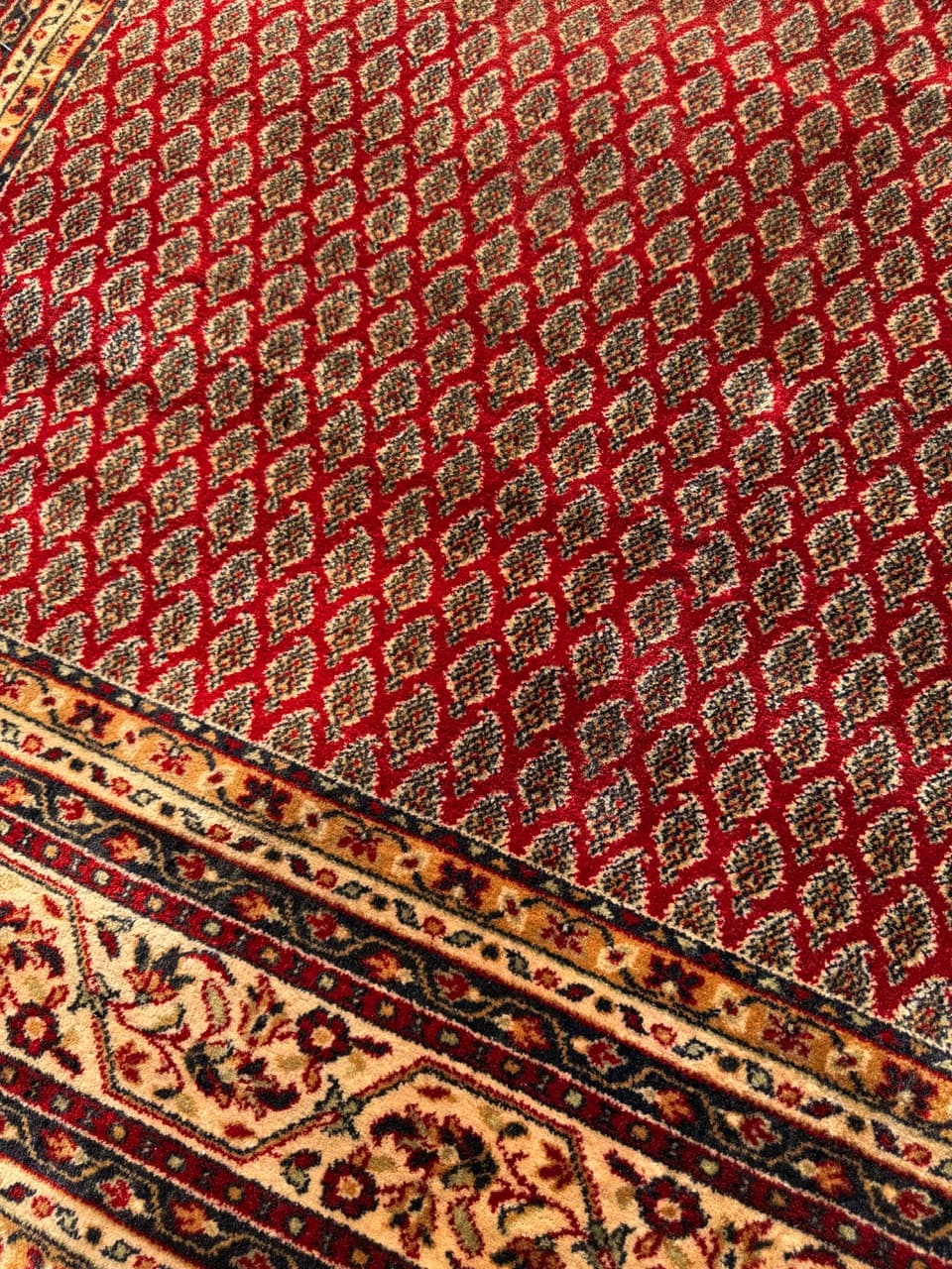 Dywan Kaszmir, multikolor, wełna, Niemcy, 250x200 cm - 288254