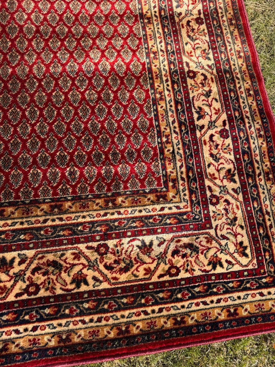 Dywan Kaszmir, multikolor, wełna, Niemcy, 250x200 cm - 288249