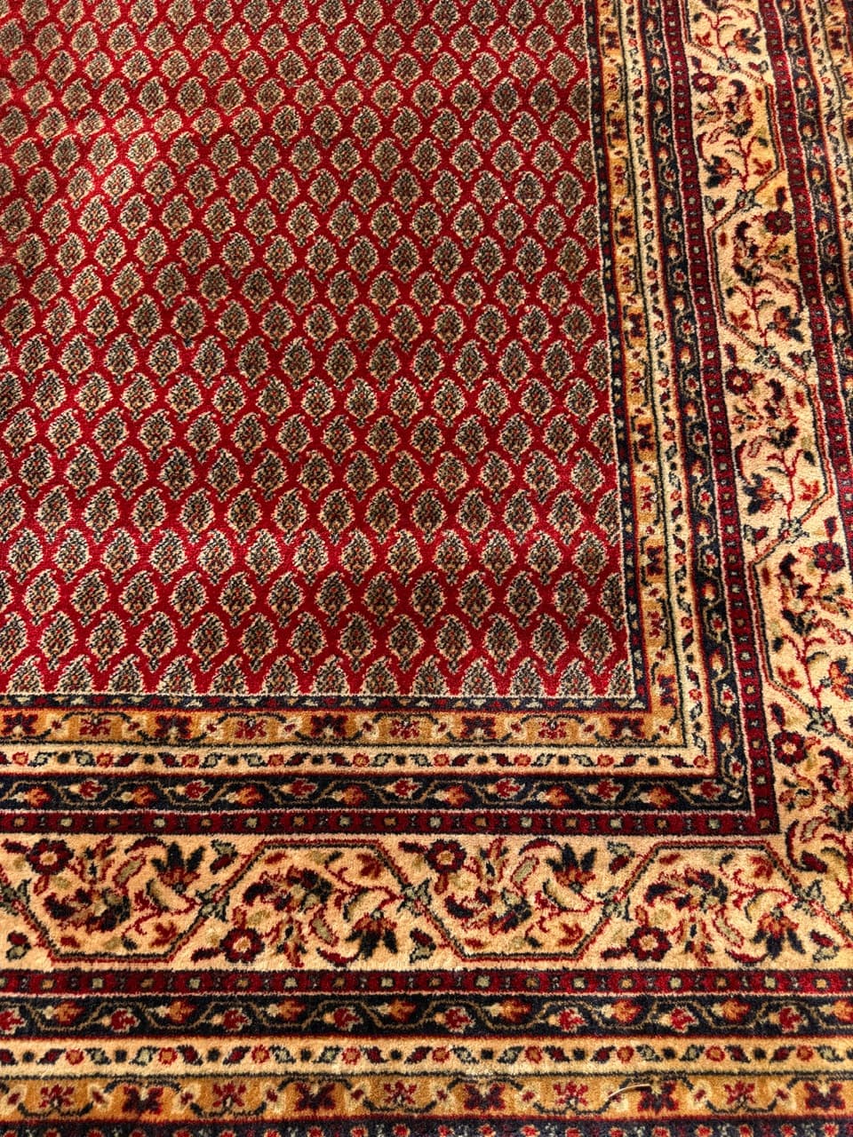 Dywan Kaszmir, multikolor, wełna, Niemcy, 250x200 cm - 288252