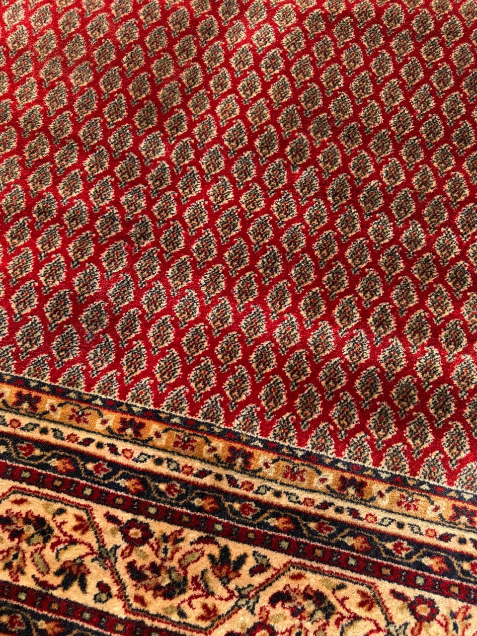 Dywan Kaszmir, multikolor, wełna, Niemcy, 250x200 cm - 288253