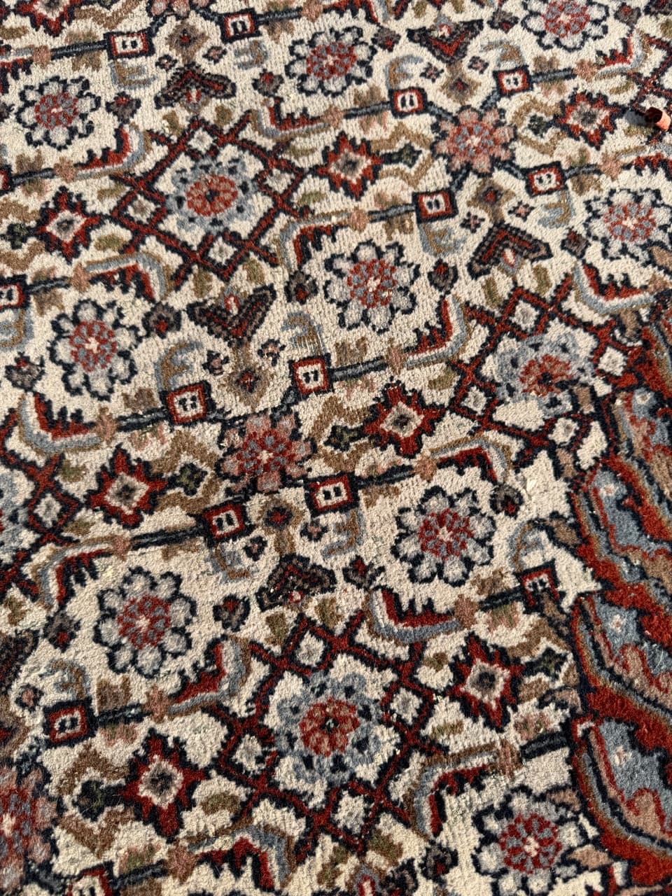 Dywan Indo Bidjar, czerwony, wełna, Indie, 345x245 cm - 288833